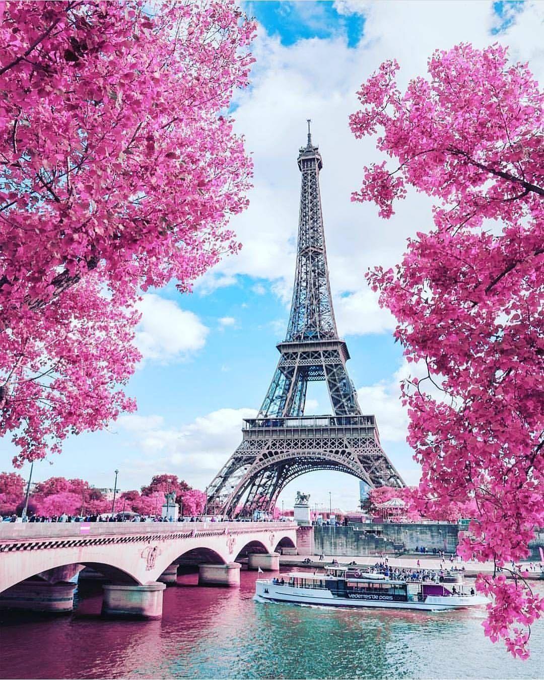 Pink Paris iPhone Wallpaper Free