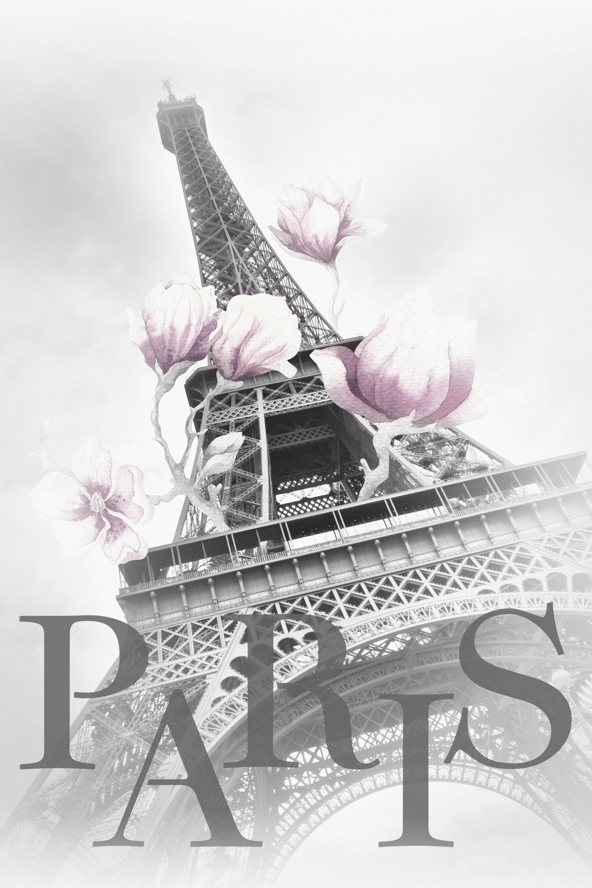 Paris Magnolia Eiffel Tower Wallpaper