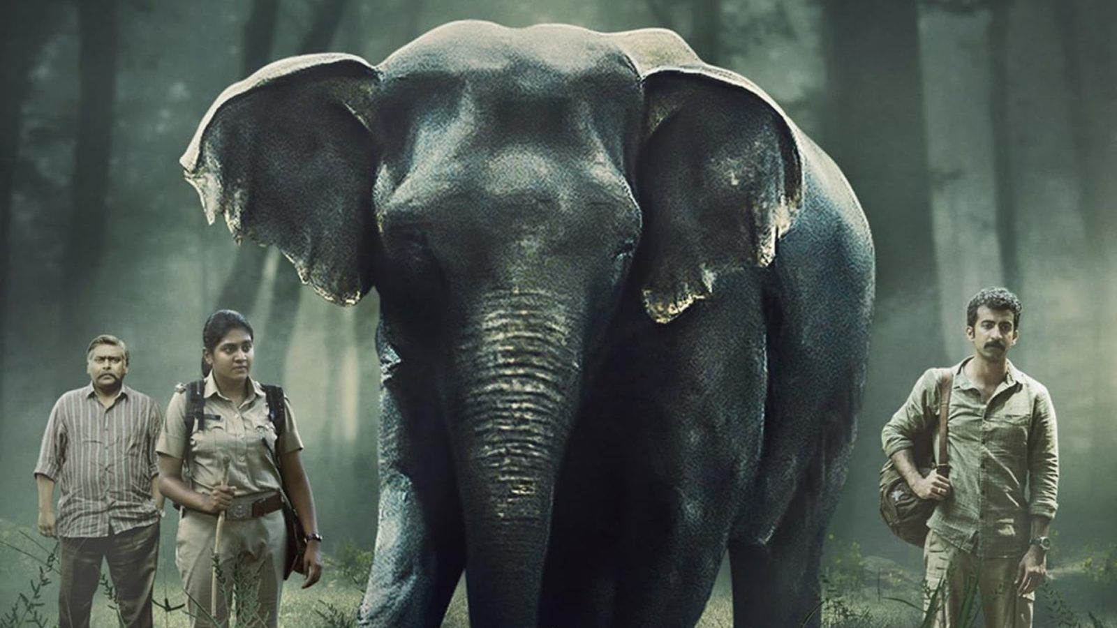 Poacher on Amazon Prime: The real story