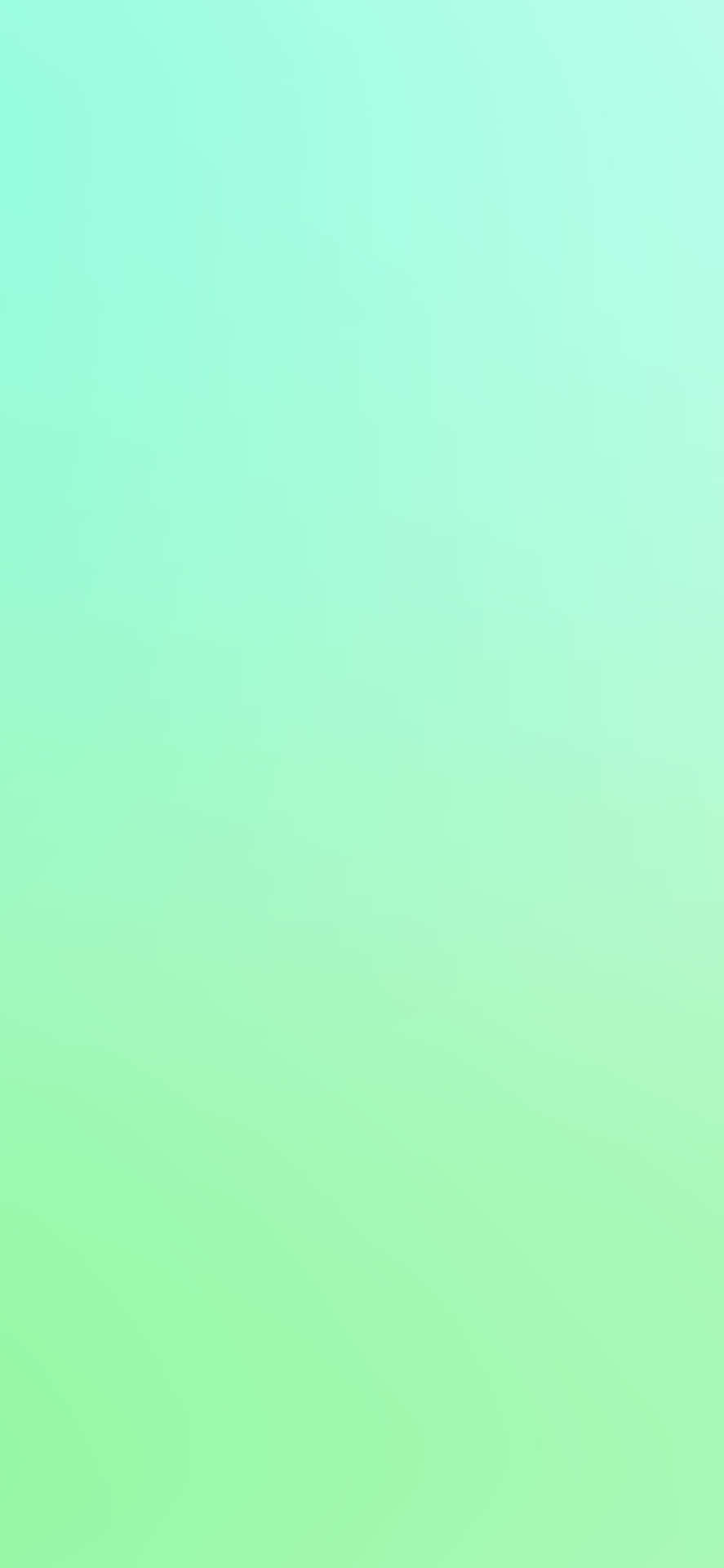 iPhone 11 Green Colour Wallpapers Wallpaper Cave