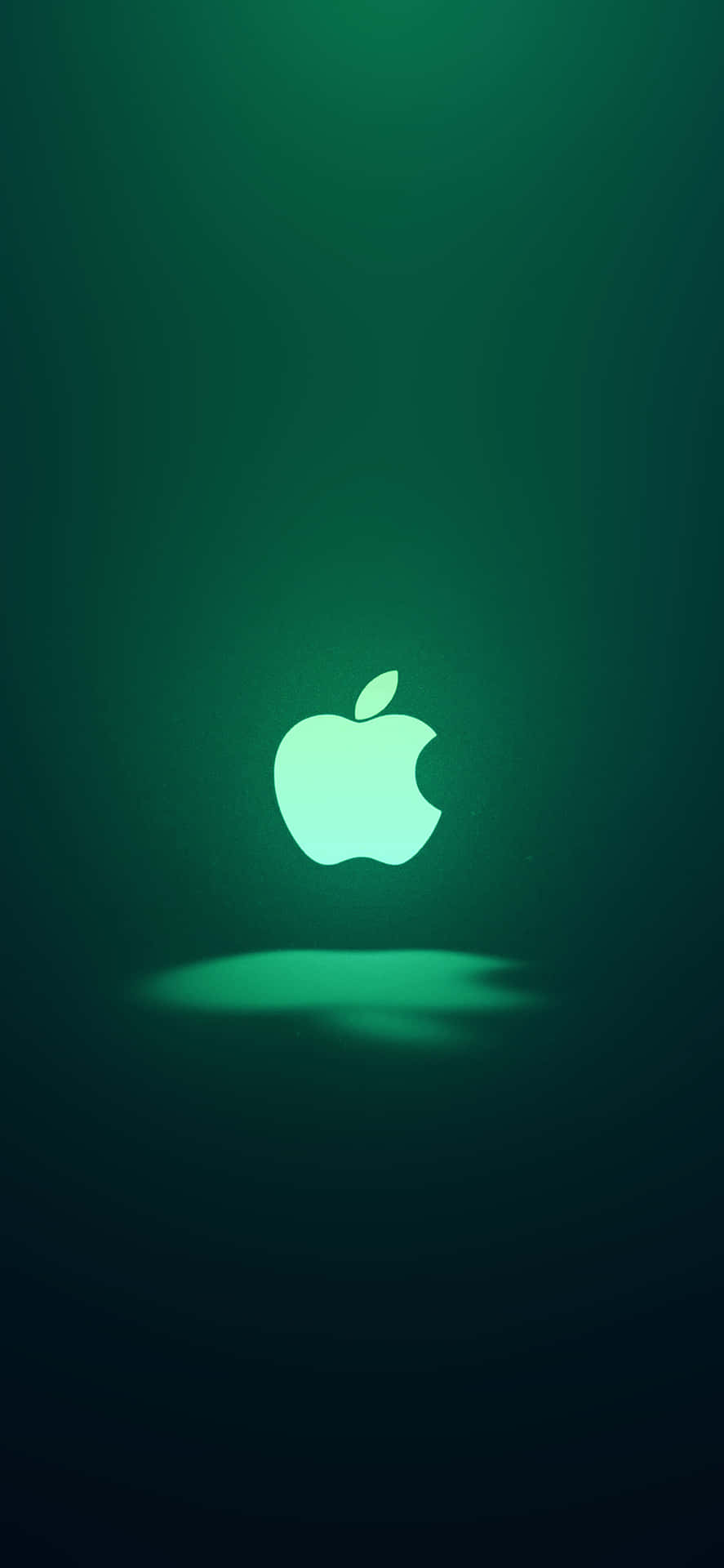 iPhone 11 Green Colour Wallpapers Wallpaper Cave