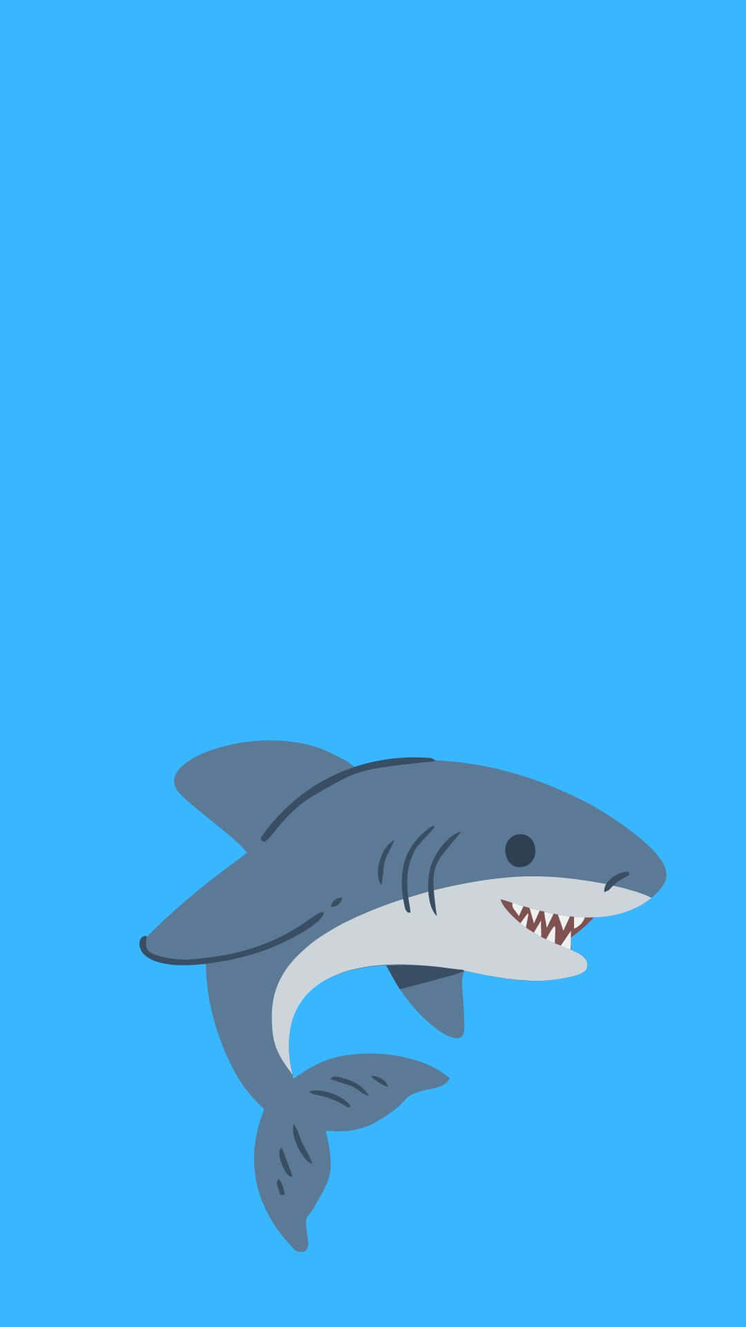 Download A cool shark swimming through