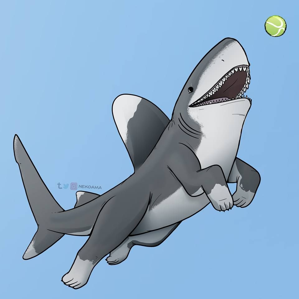 baby shark cute desktop