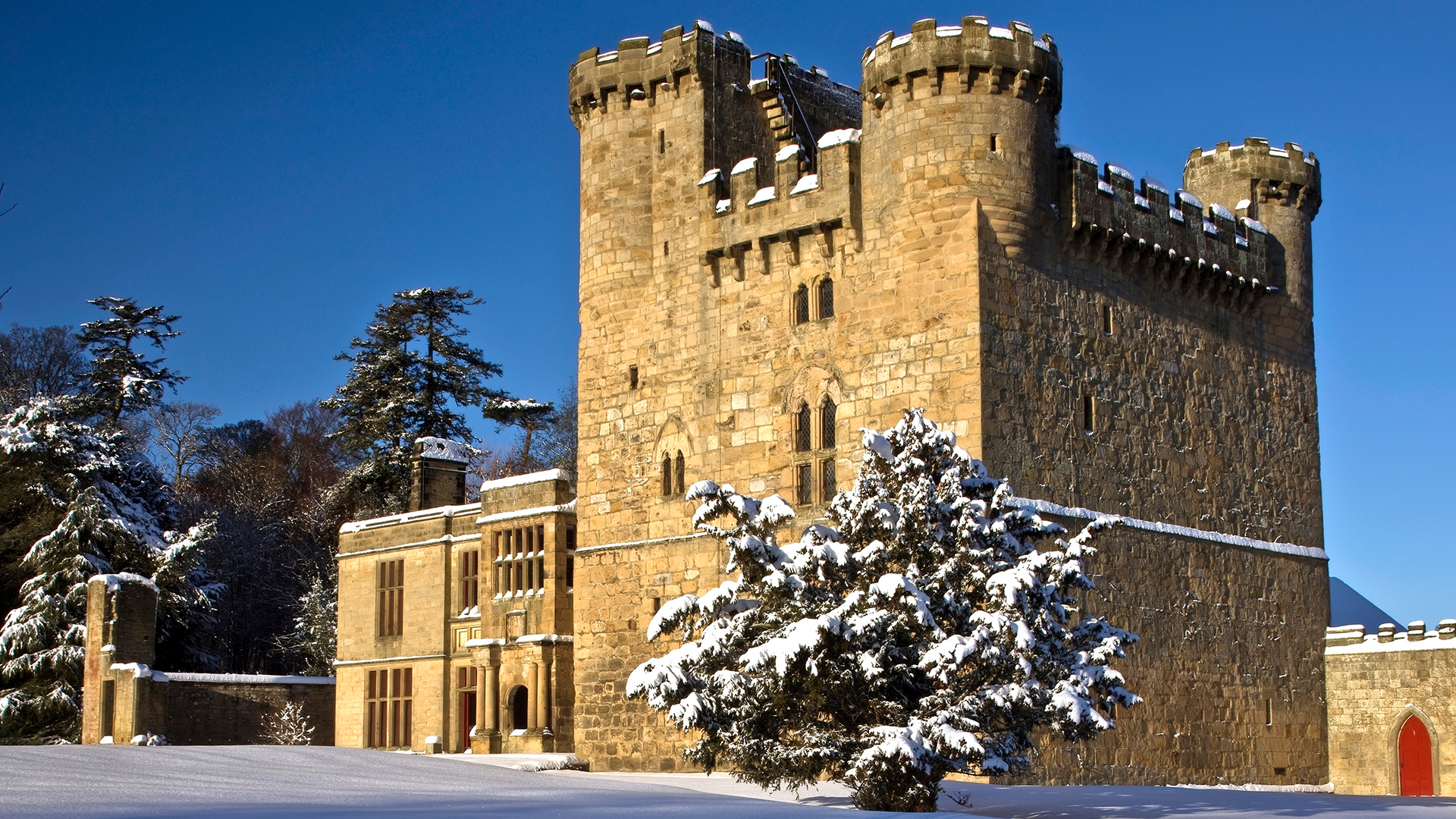 Members' Exclusive winter wallpaper