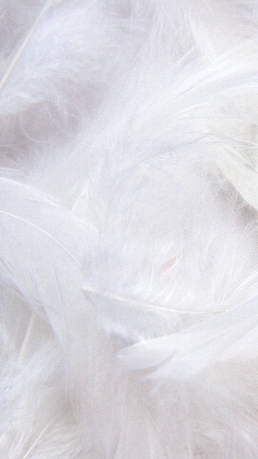 Cool iPhone White Feathers Wallpaper