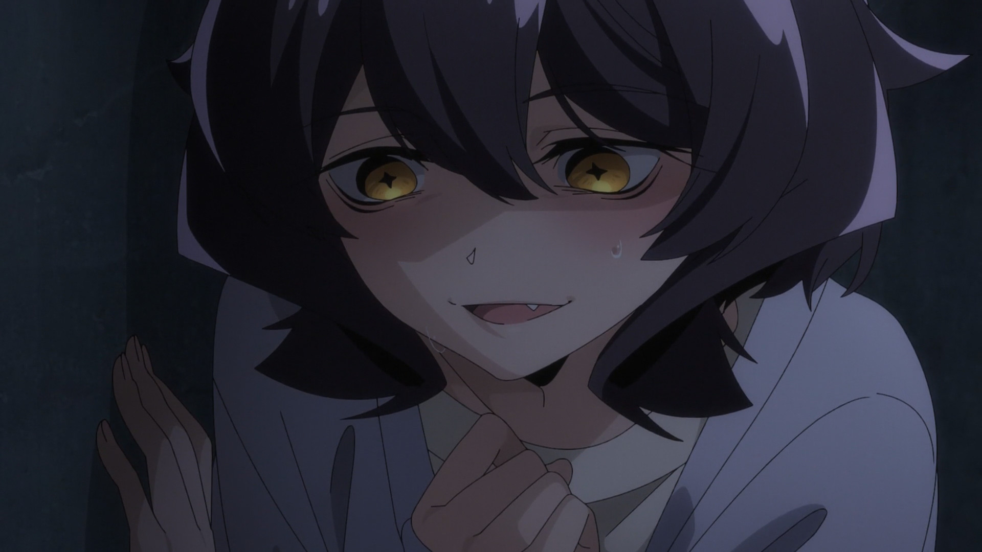 Gushing Over Magical Girls TV Series