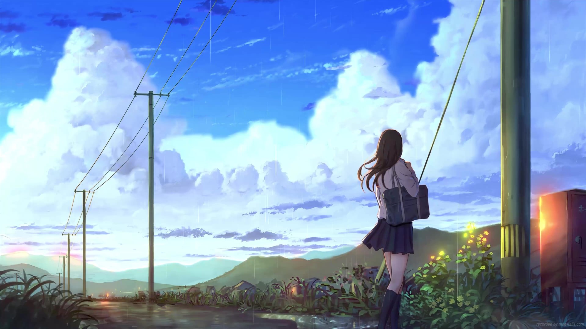 Raining Live Wallpaper, Animated