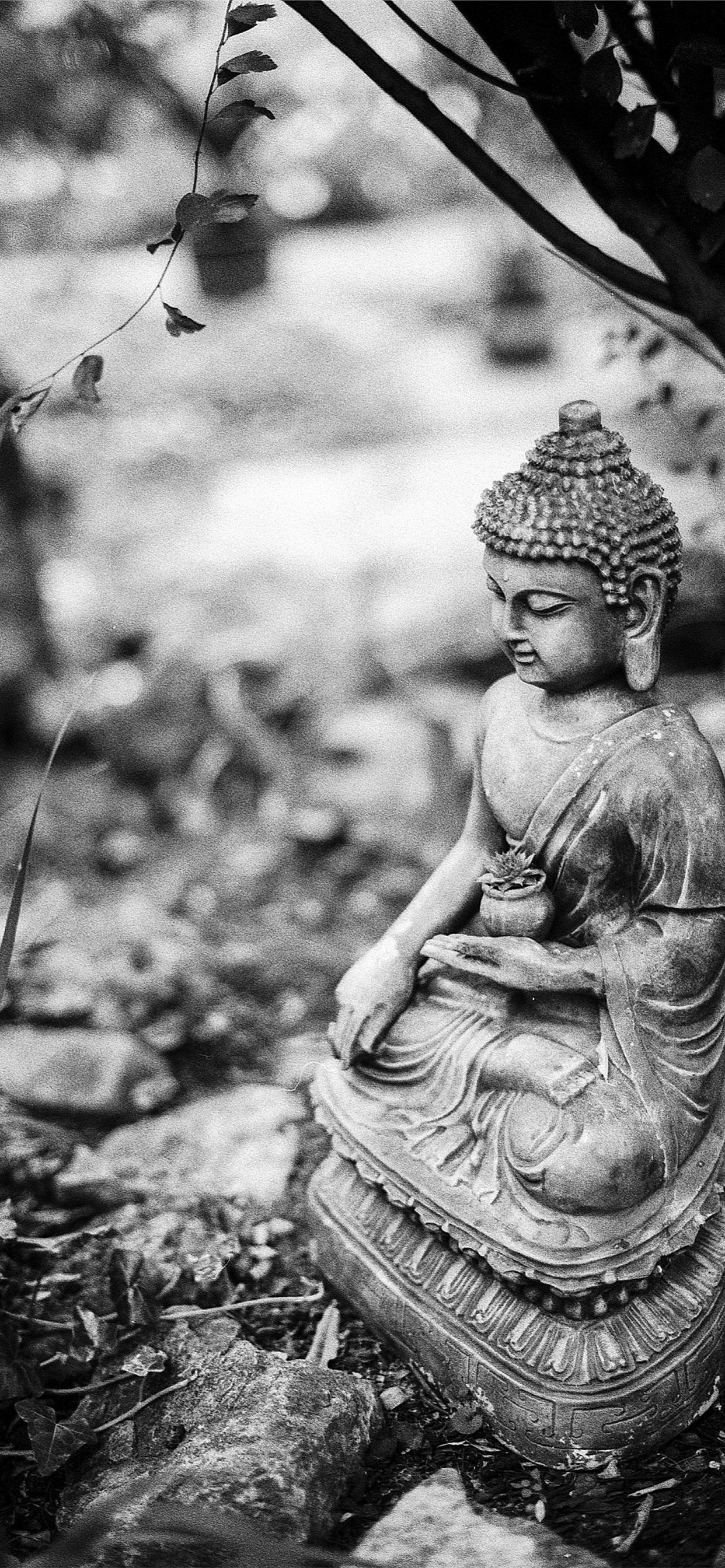 Dark Buddha Top Free Dark Buddha