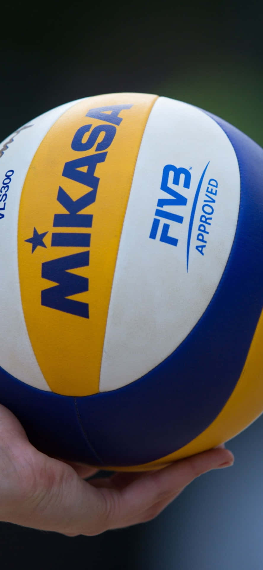 iPhone Xs Max Volleyball Background