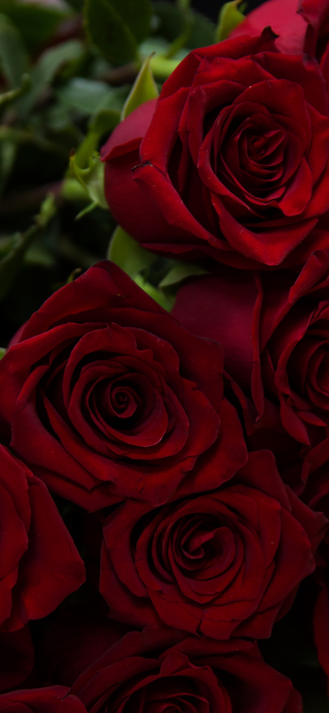 Download wallpaper 1125x2436 beautiful