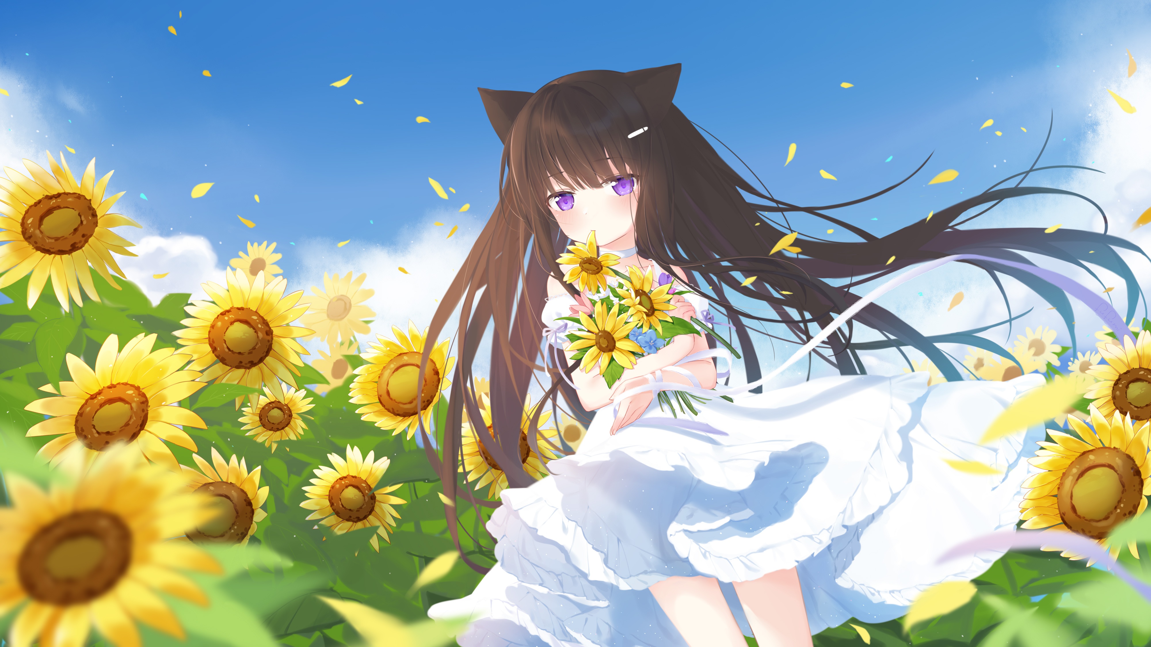 Wallpaper field, summer, the sky