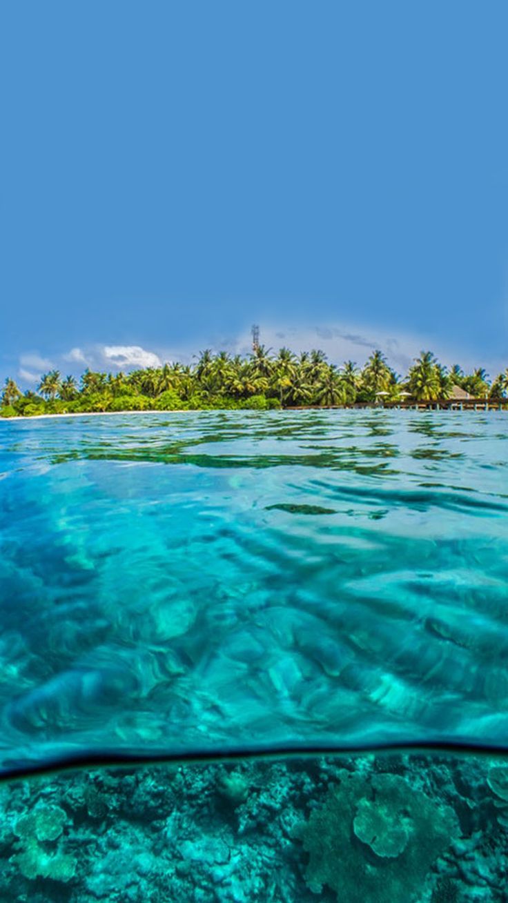 Tropical Island Wallpaper / Background