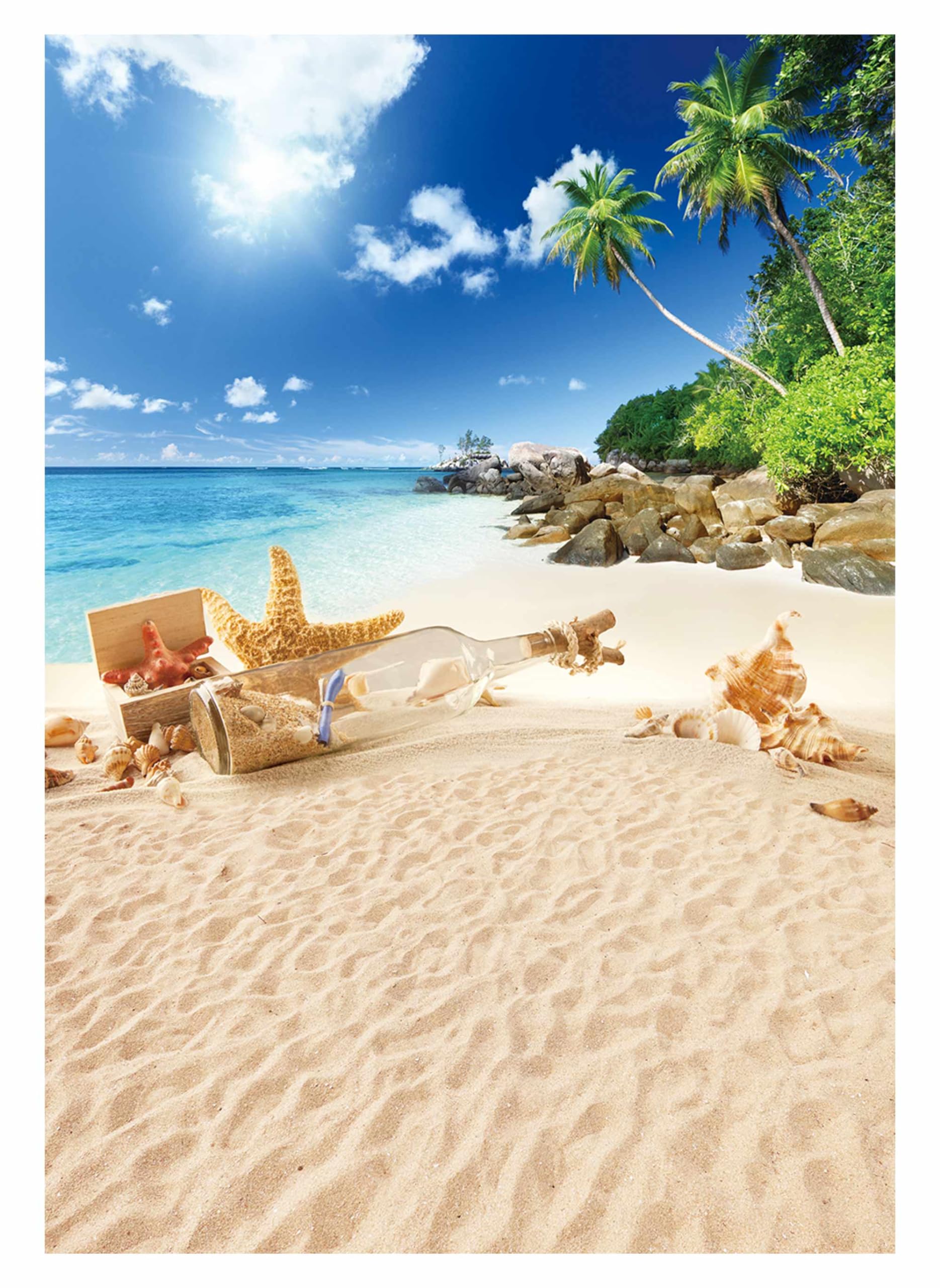 Palm Trees Photography Background