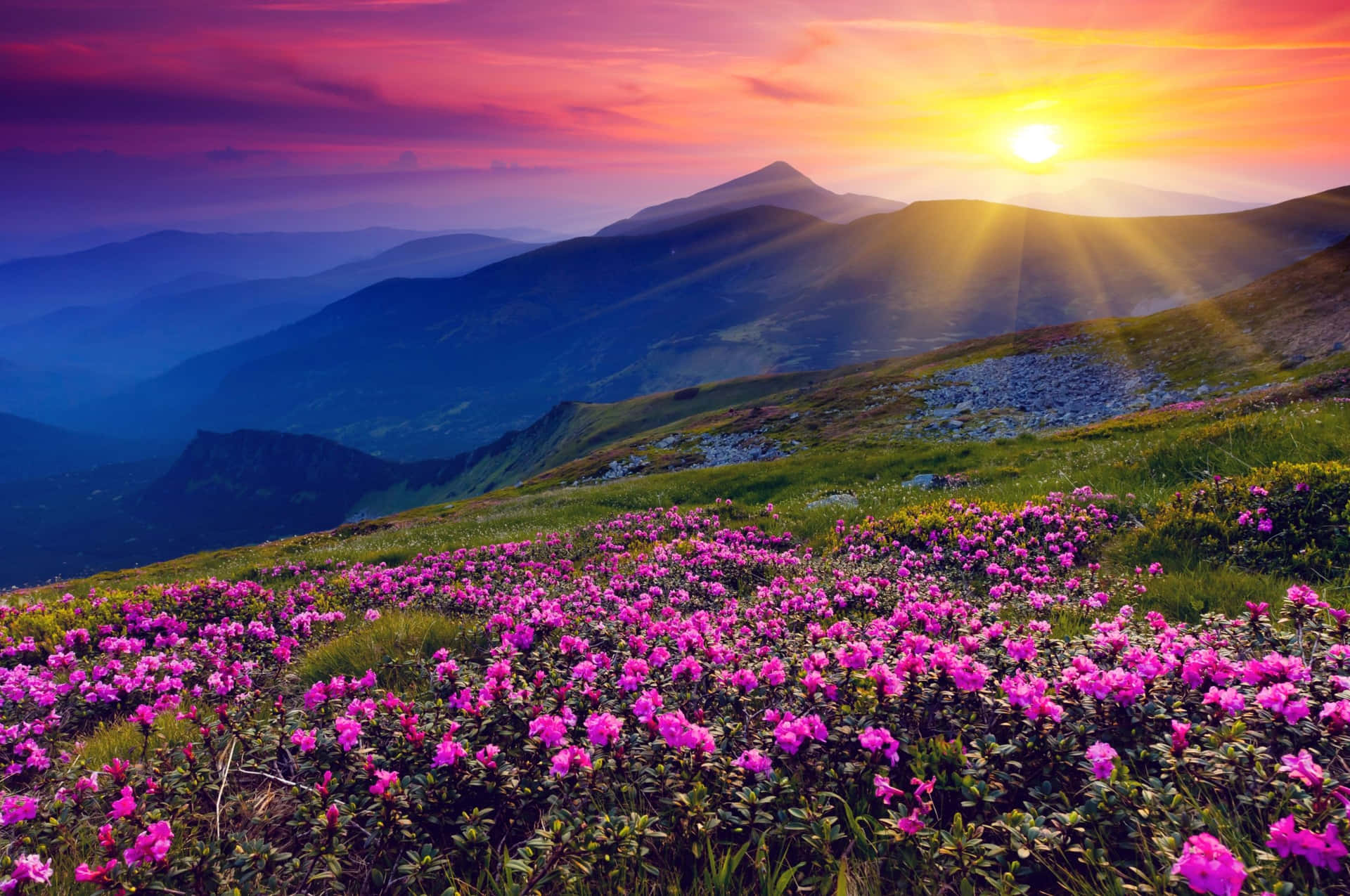 Download Tranquil Spring Sunset Over a