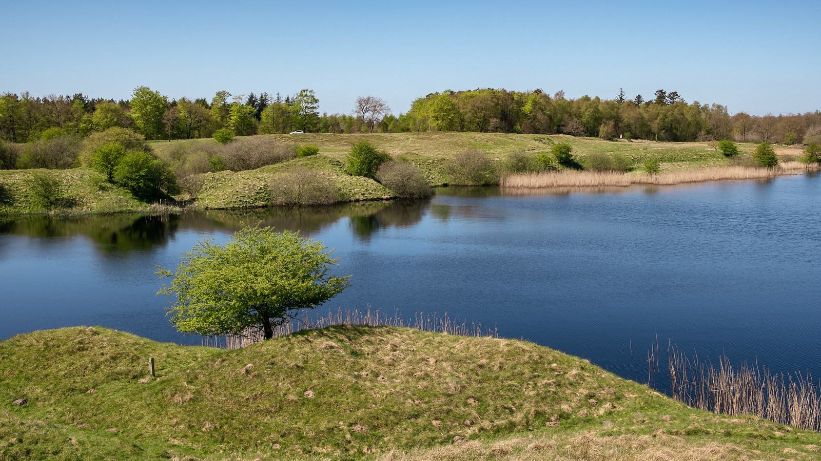 Calm Lake on a Sunny Spring Day. From