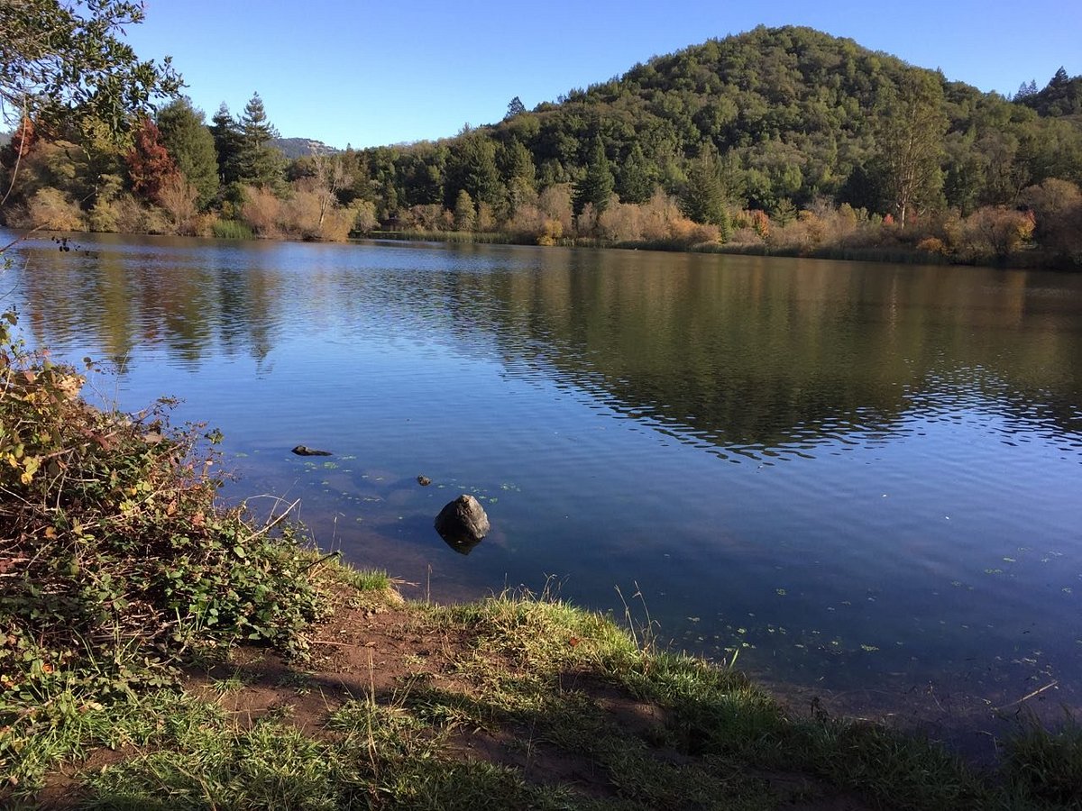 Spring Lake Park You Need to Know