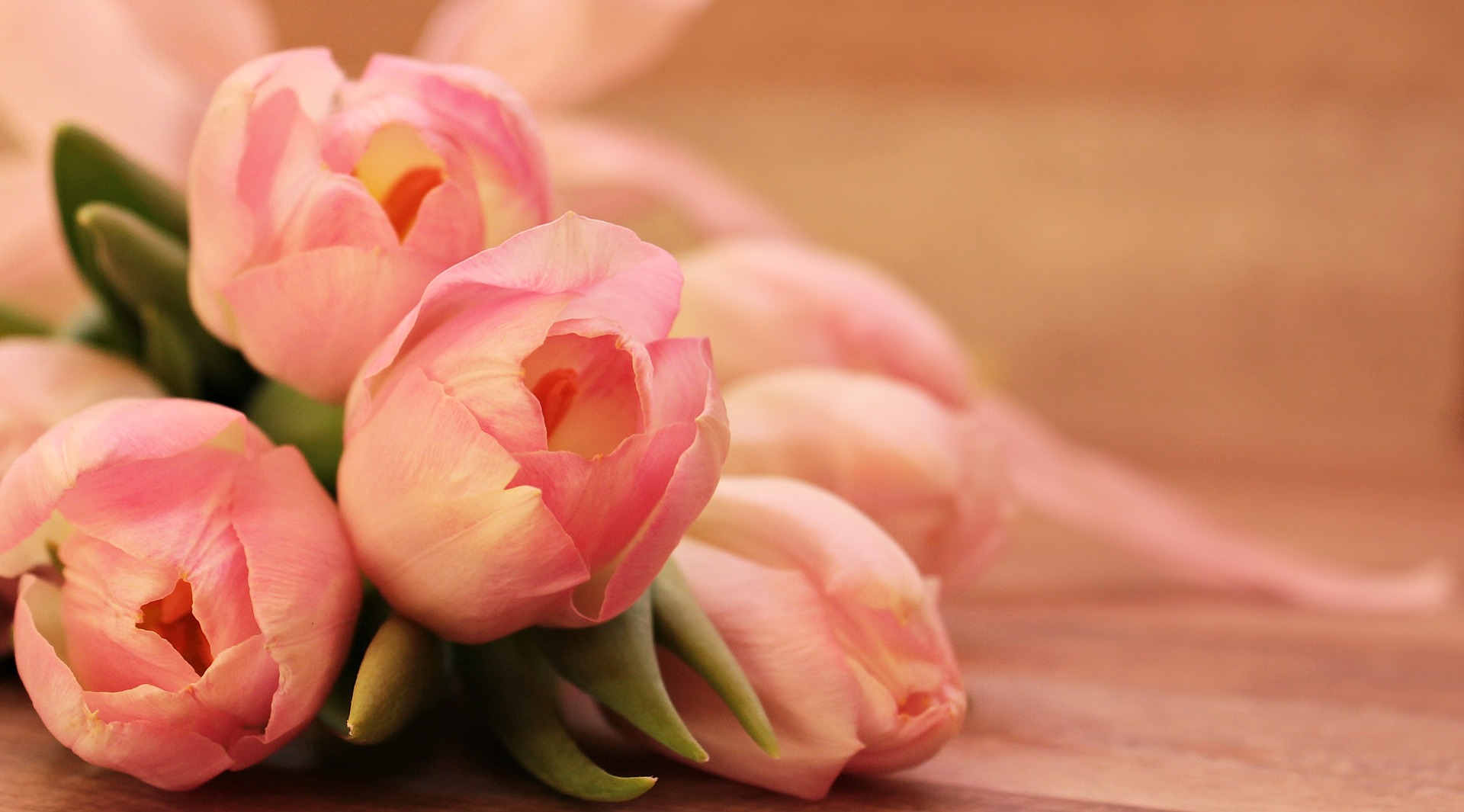 Mother's Day 2024