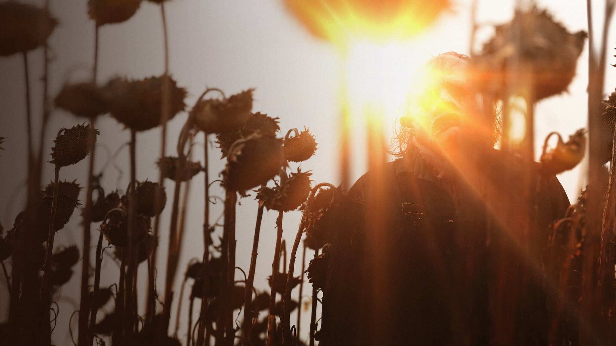 Movie Texas Chainsaw Massacre HD