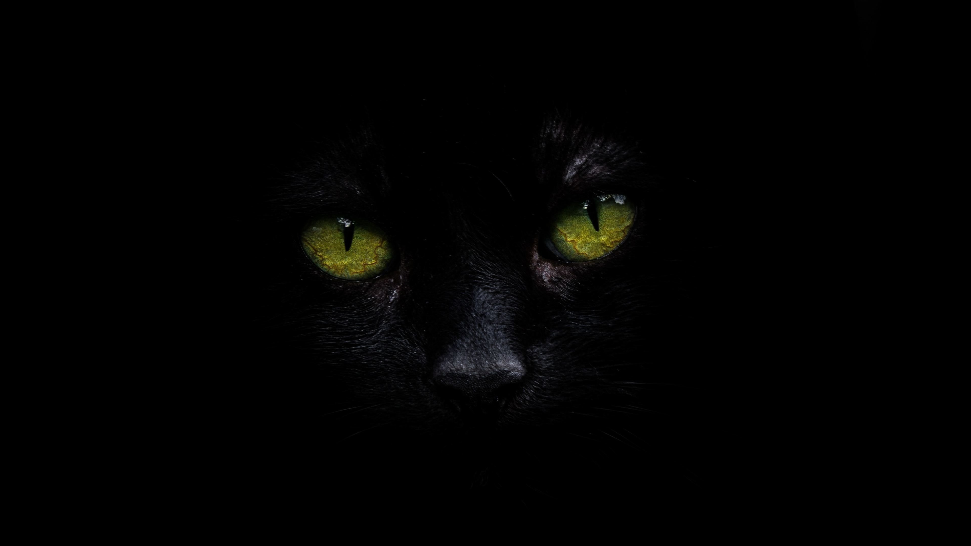 4K OLED Wallpaper for Desktop Free