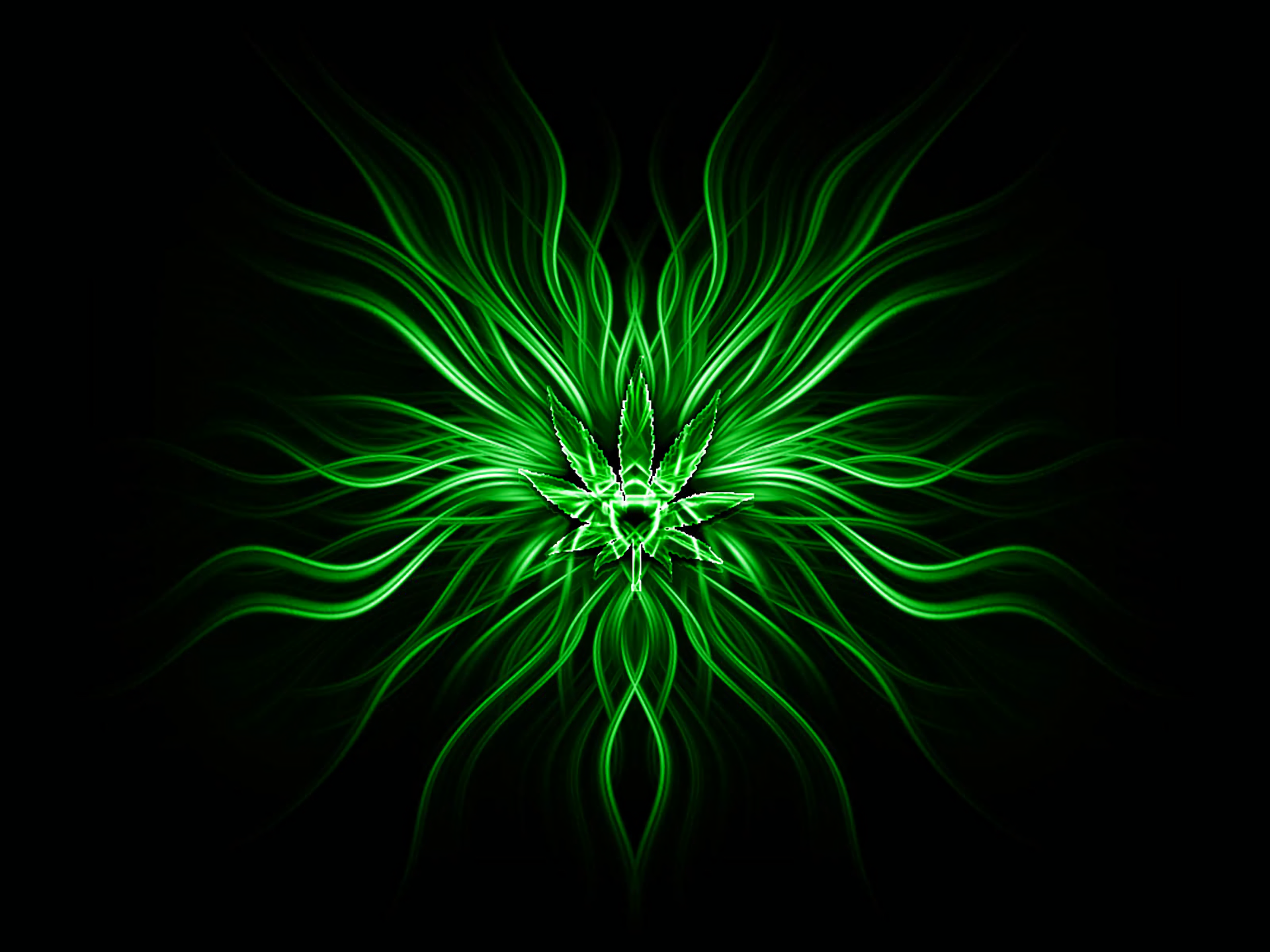 Green Fractal Bloom HD Abstract Wallpaper