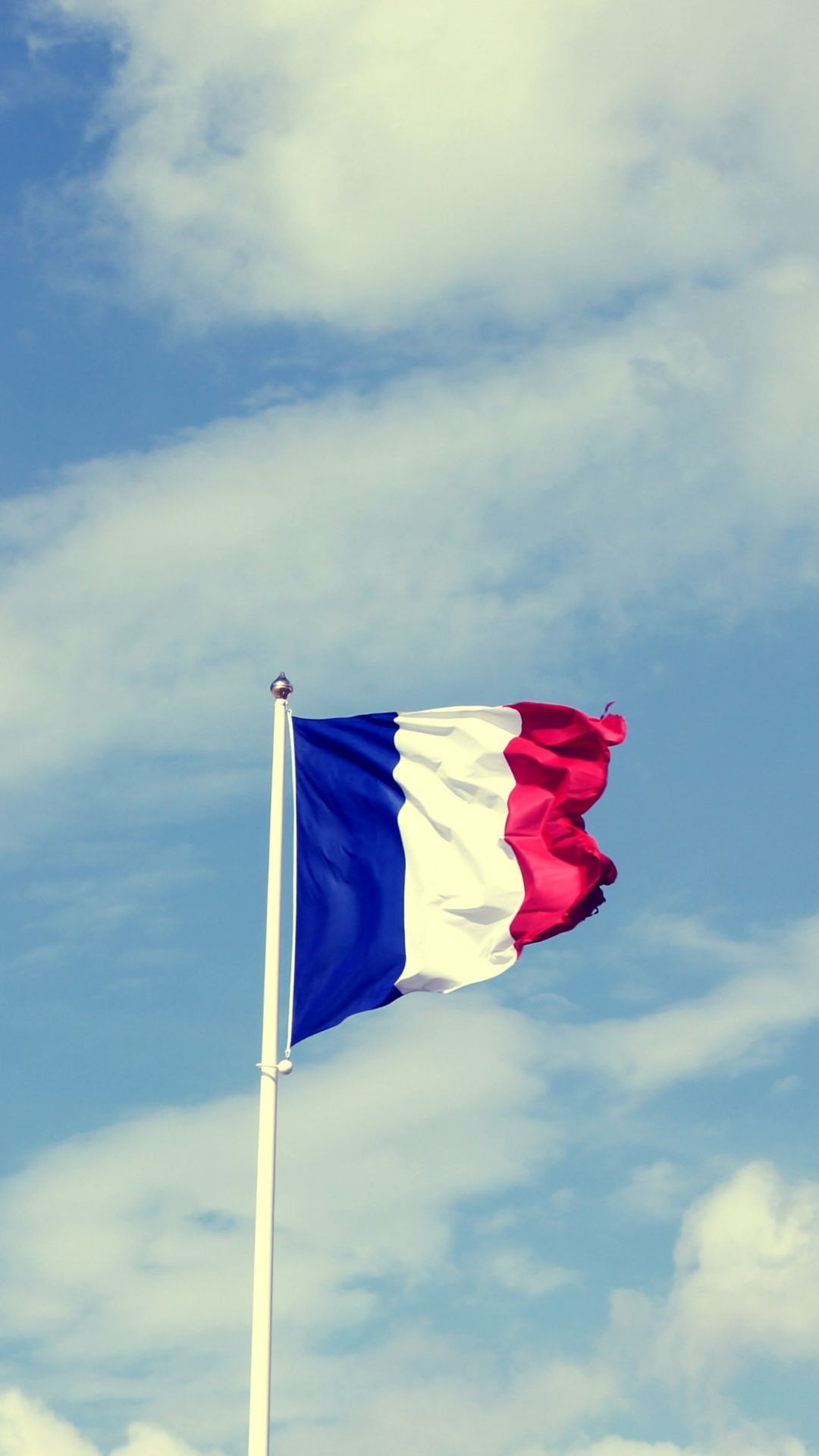 France Flag Wallpaper