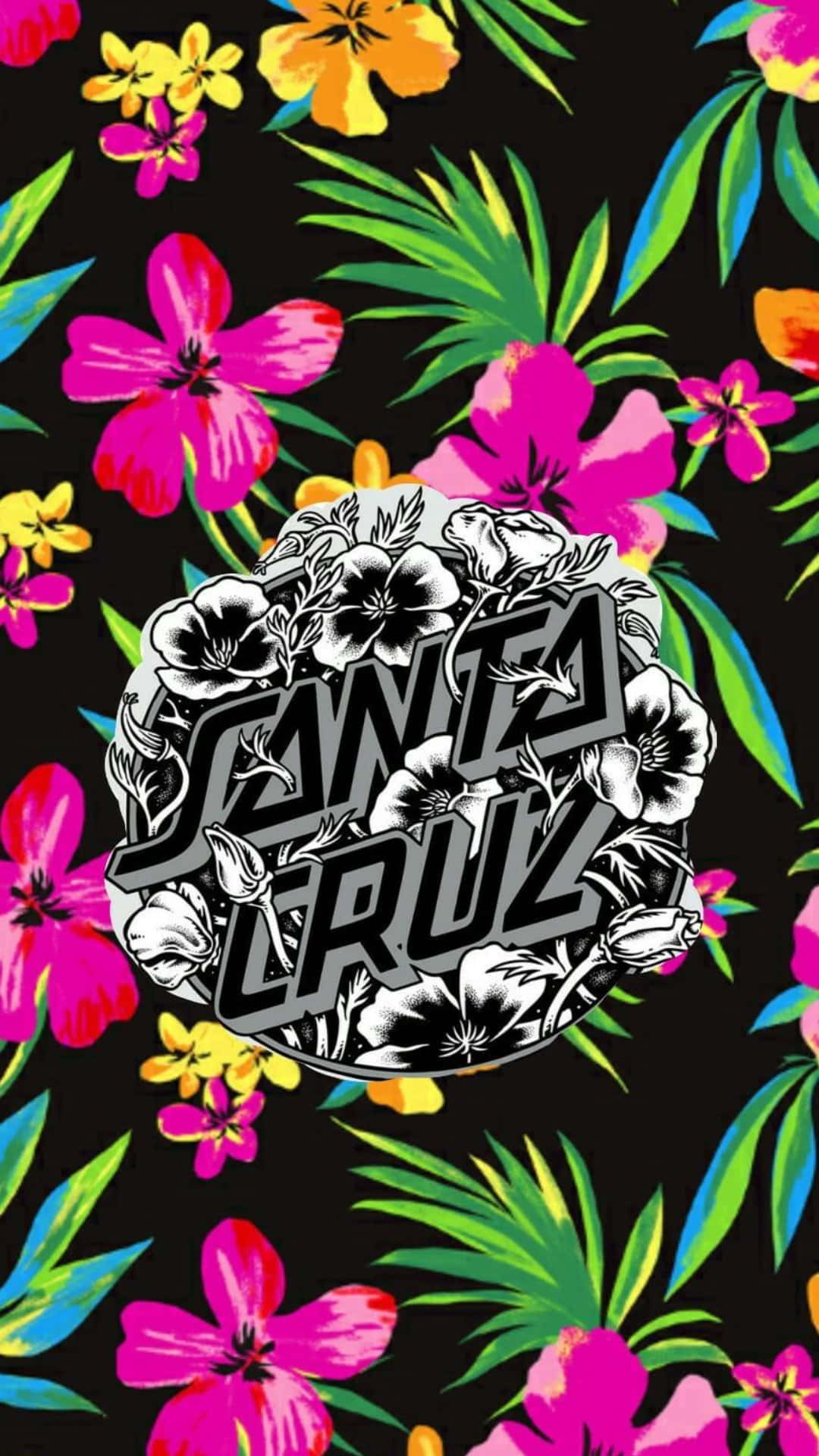 Santa Cruz Wallpaper