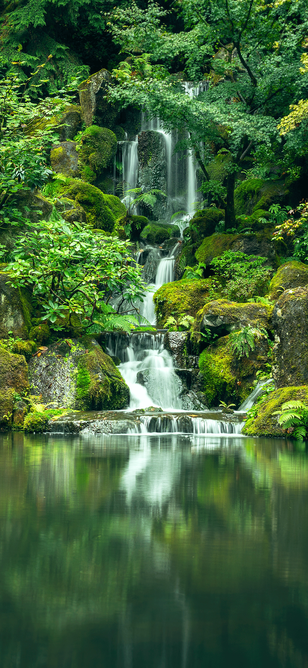 River Wallpaper for iPhone 11, Pro Max