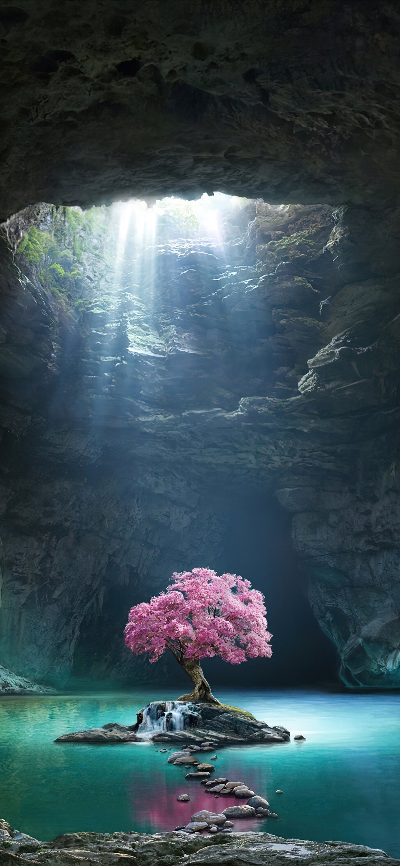 Best Amazon river iPhone HD Wallpaper