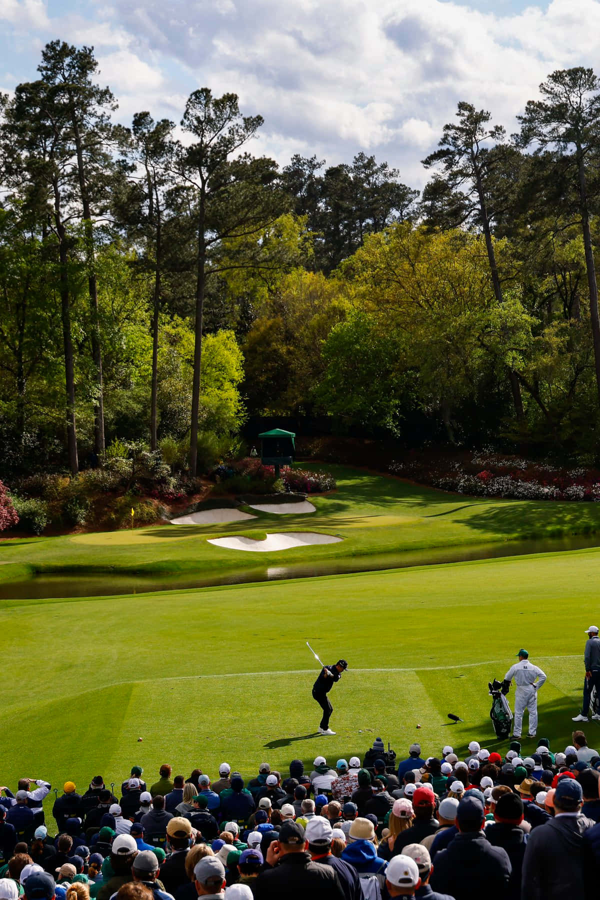At Augusta National iPhone Wallpaper