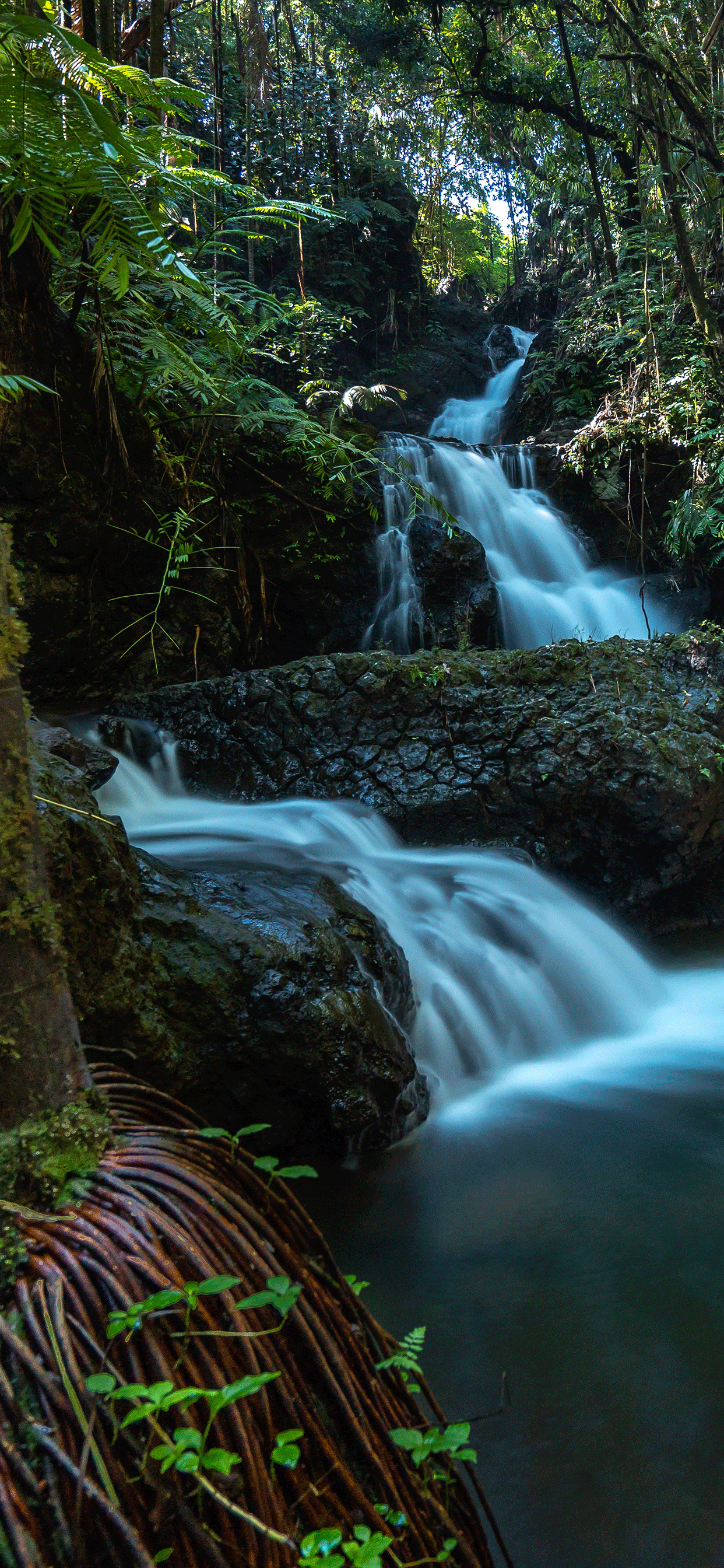 River Wallpaper for iPhone 11, Pro Max