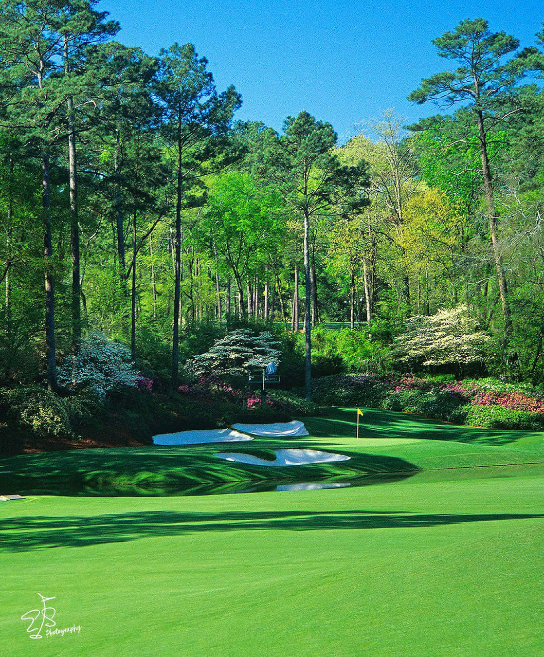 at Augusta National Wallpaper