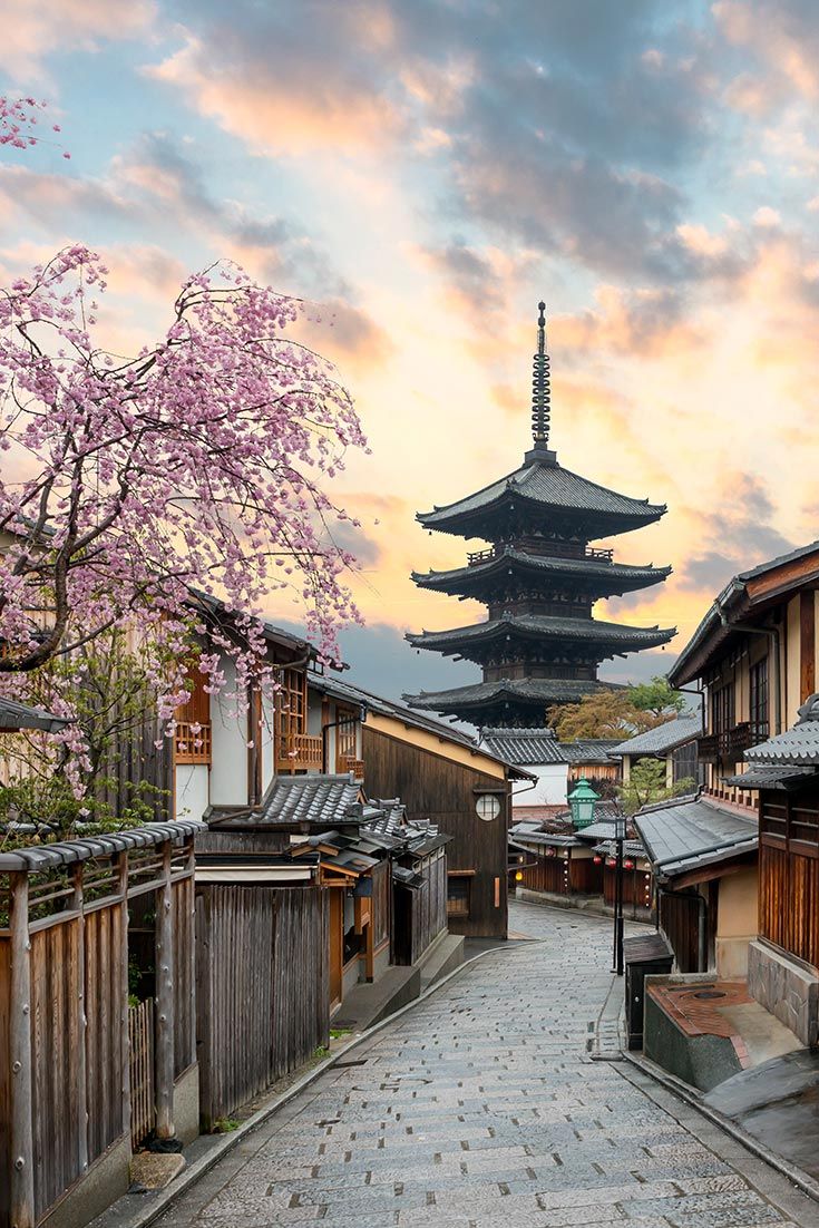 Kyoto Cherry Blossom Travel Guide