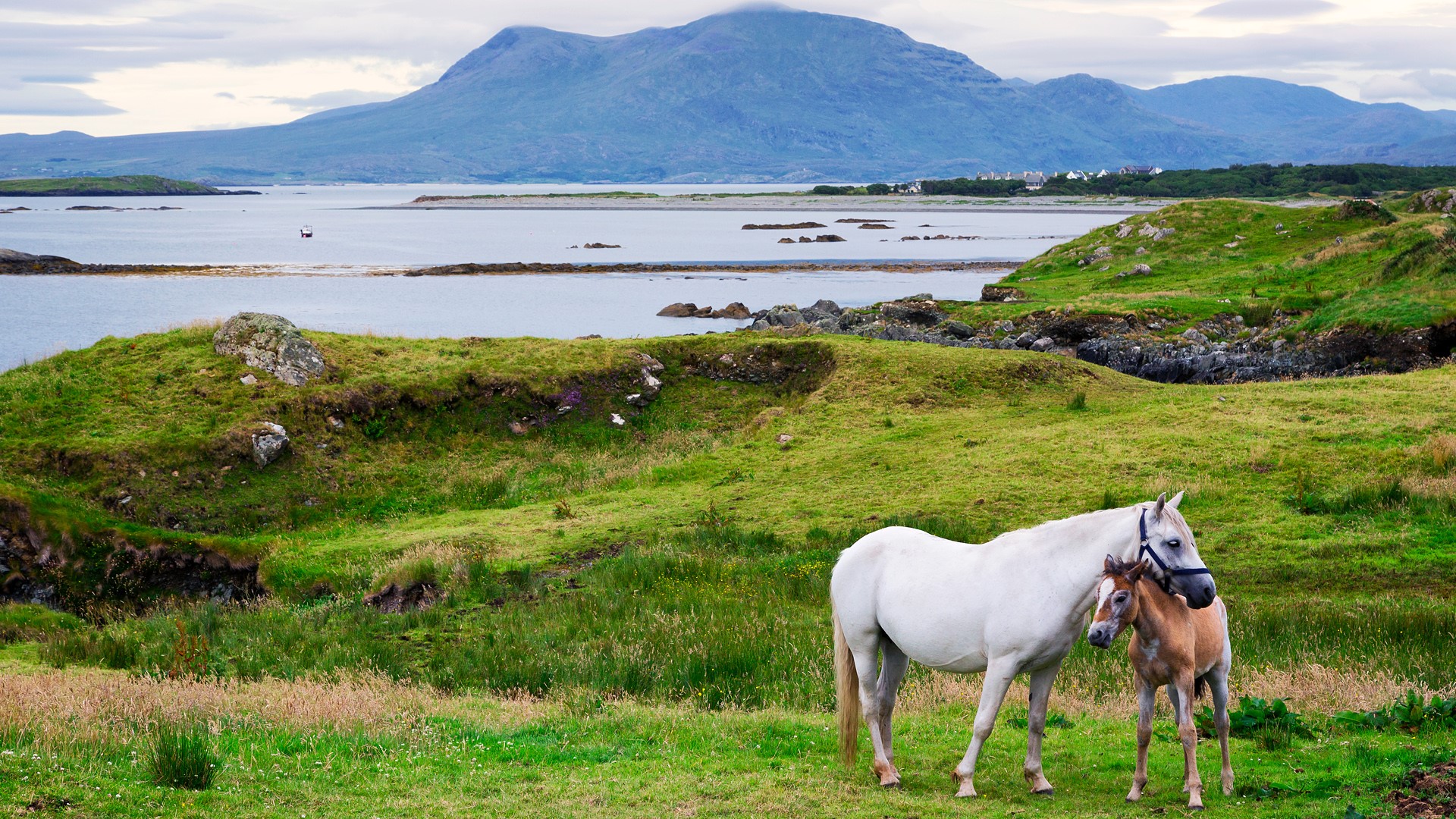 Windows Spotlight Image