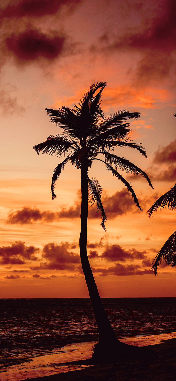 Dark Brown Sunset Over The Sea 4K Phone