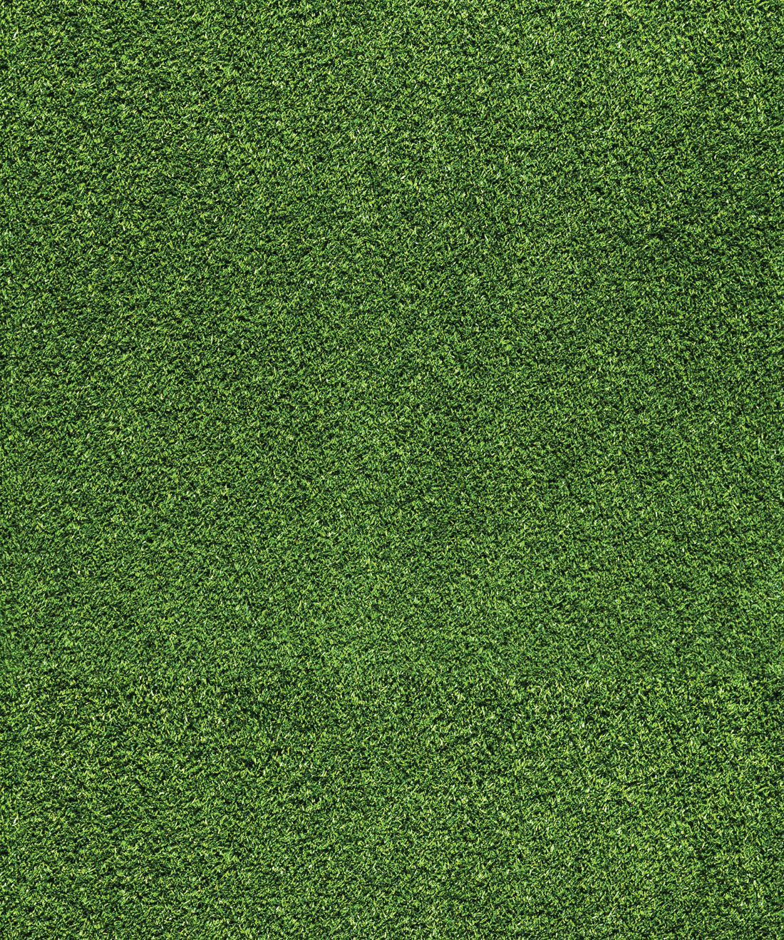 Artificial Turf Wallpaper • Fake Green