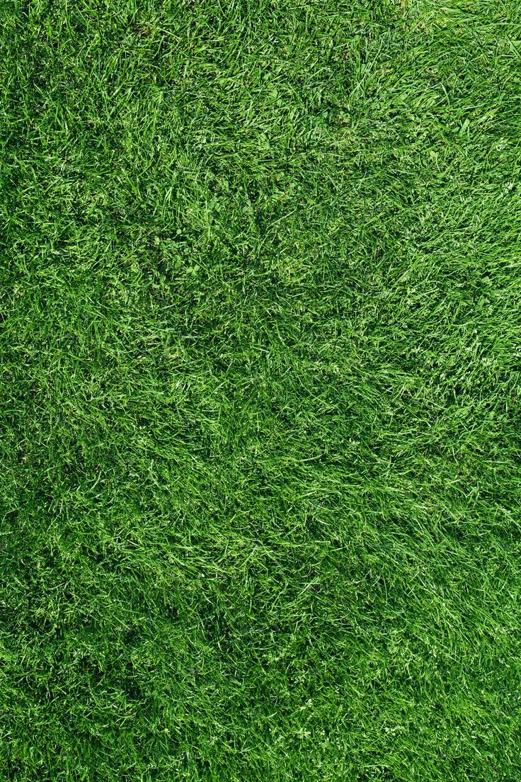 Grass texture seamless, Grass wallpaper