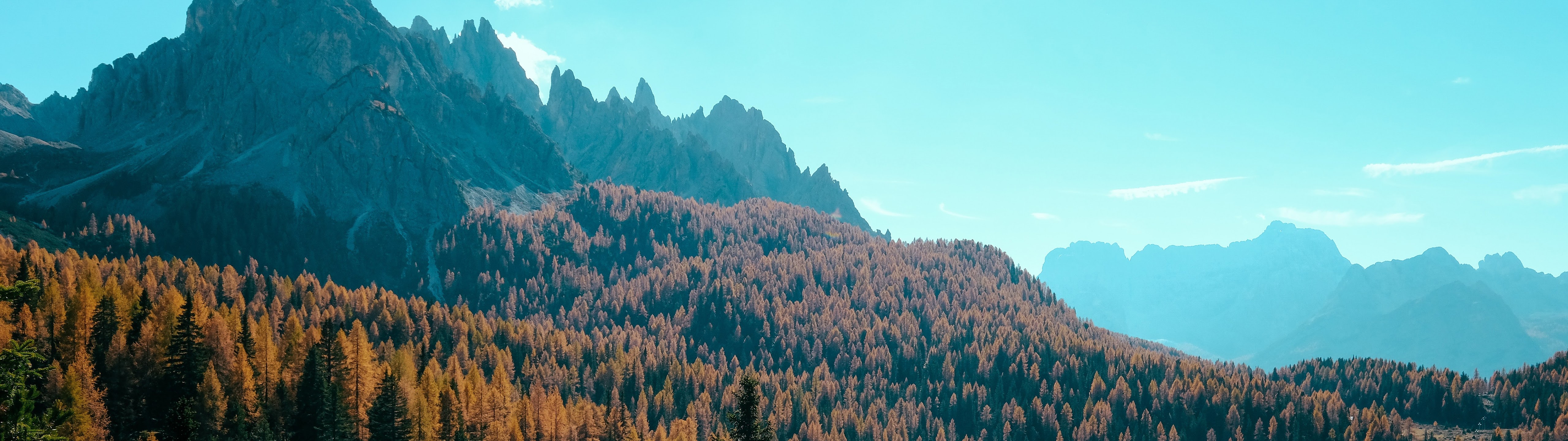 Forest Autumn Mountain Forest 8K