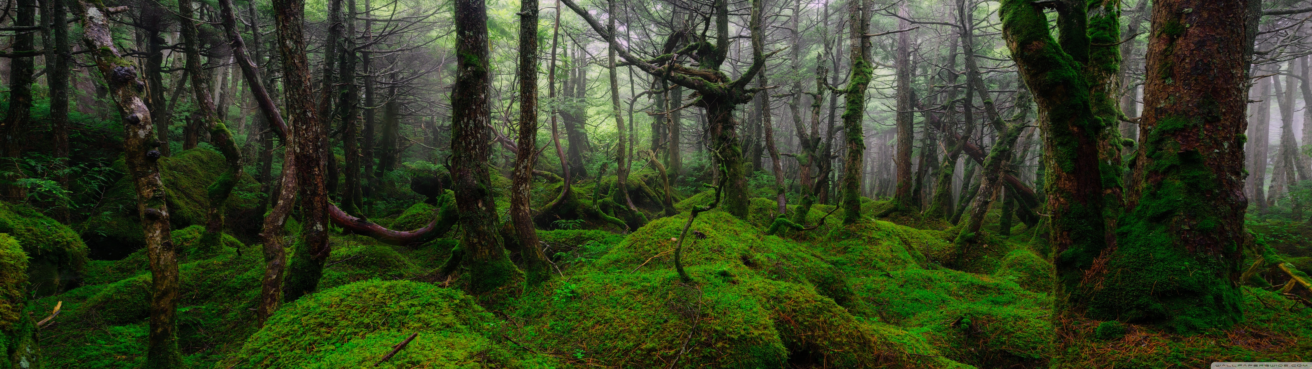 Desktop Background Wallpaper