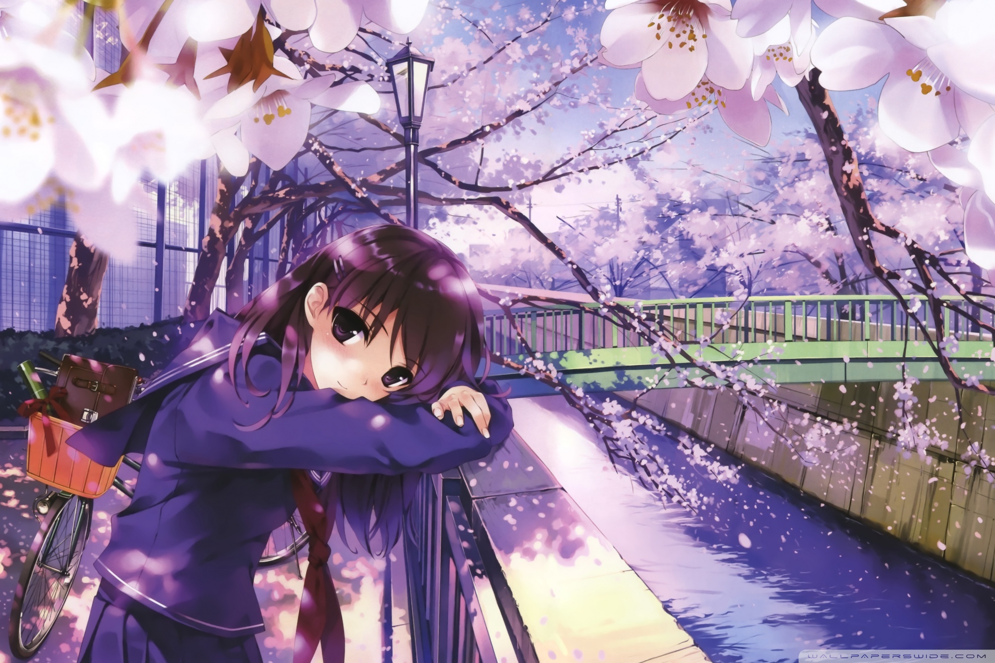 Ultra HD Desktop Background Wallpaper