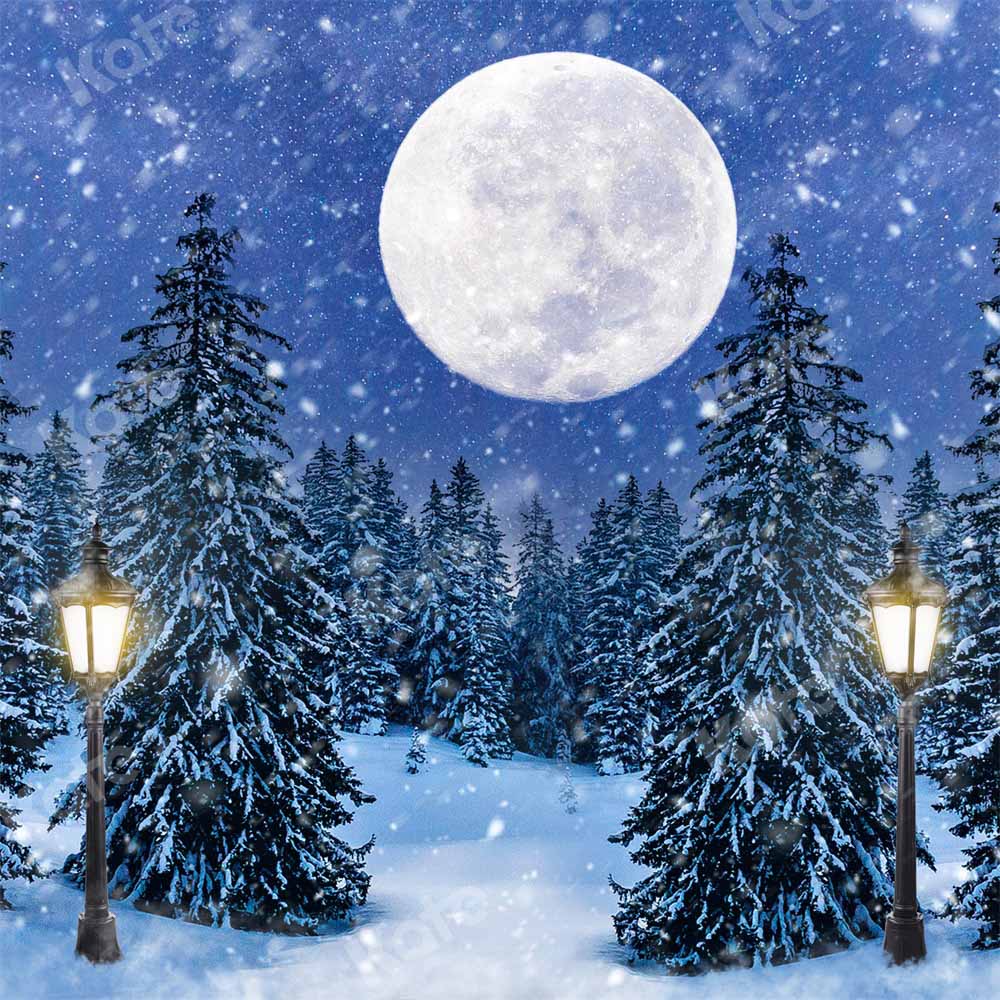 Kate Christmas Backdrop Park Moon Trees