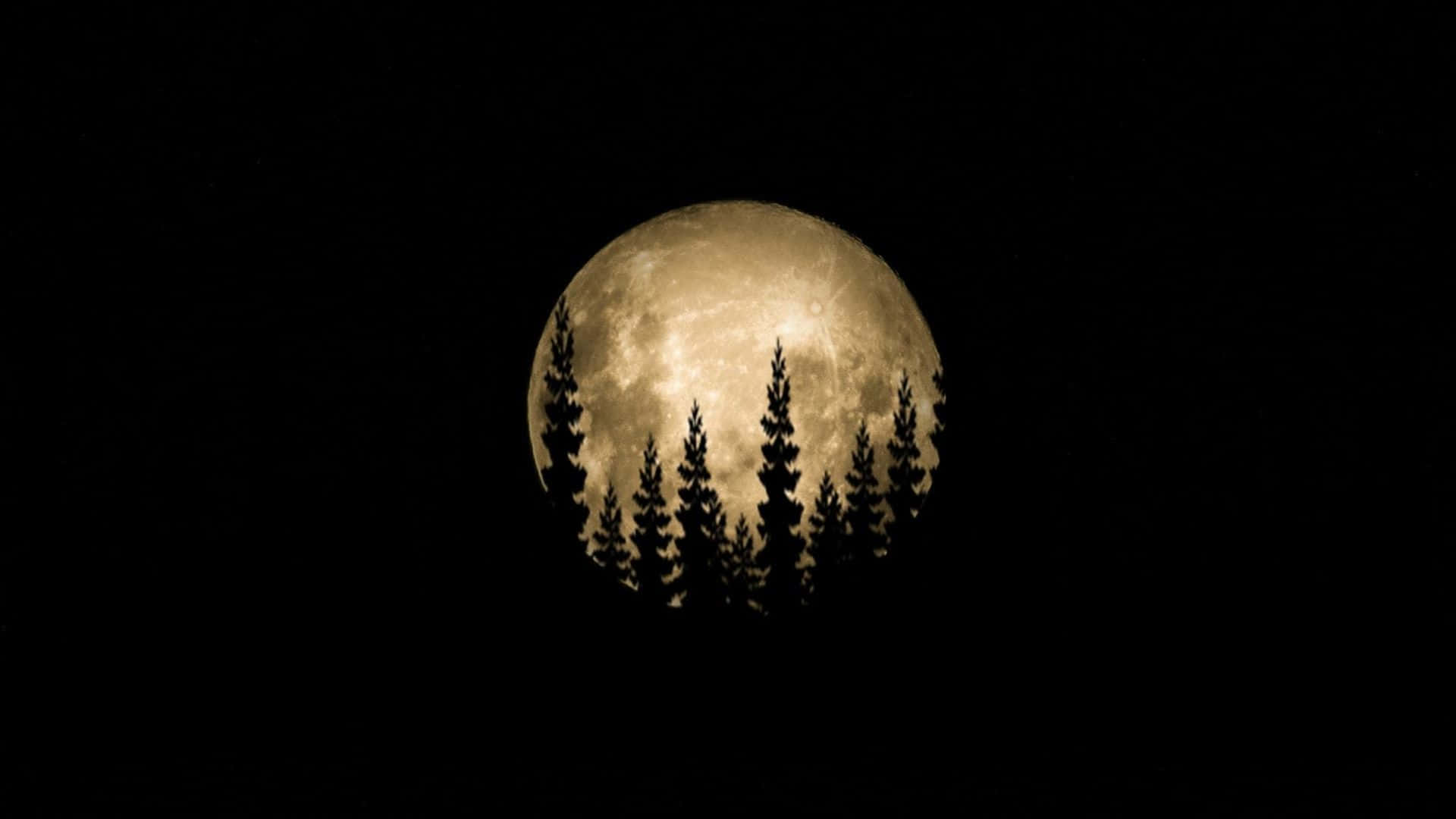 Moon And Trees Wallpapers - Wallpaper Cave