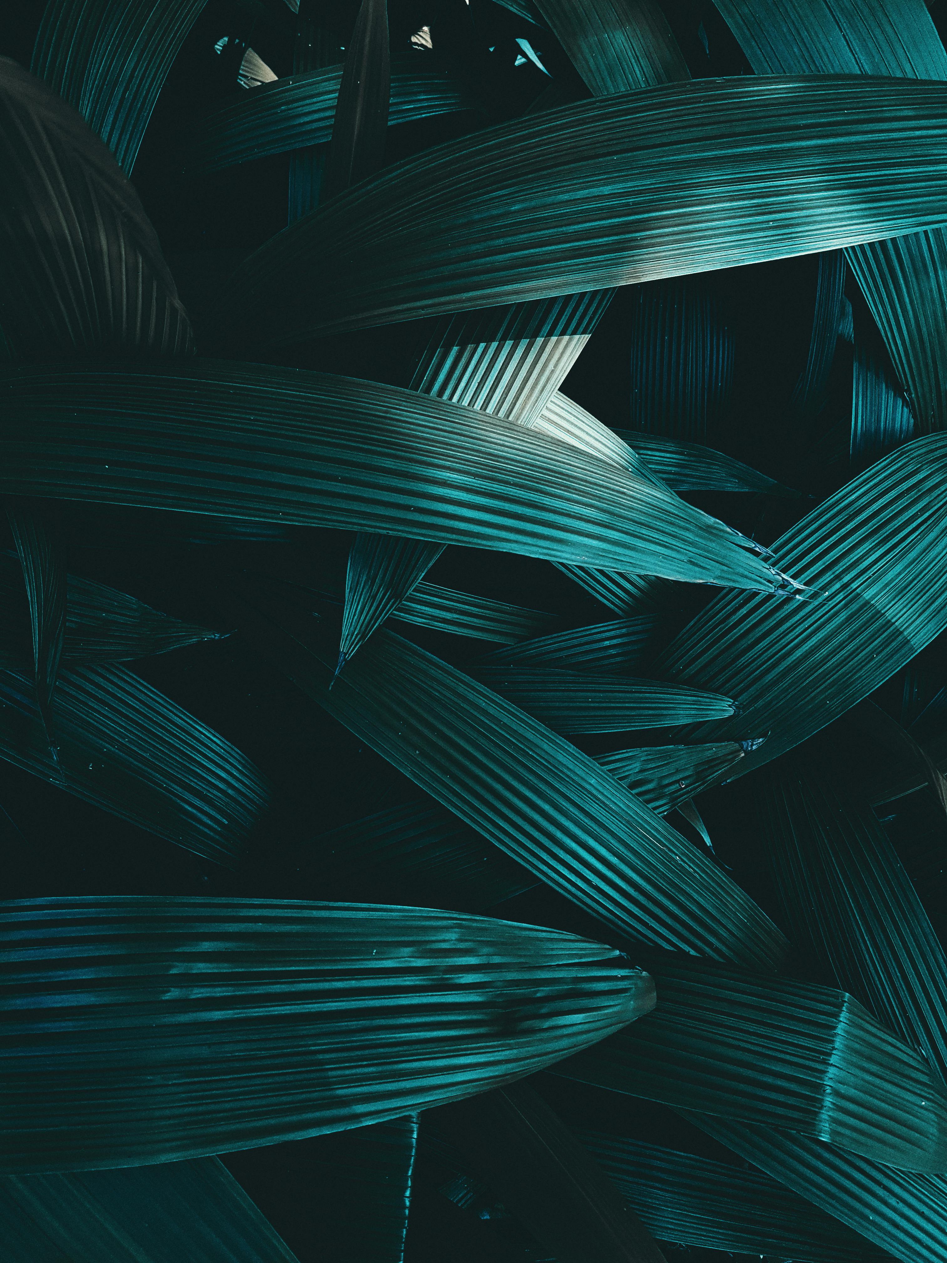 Dark Green & HD Image