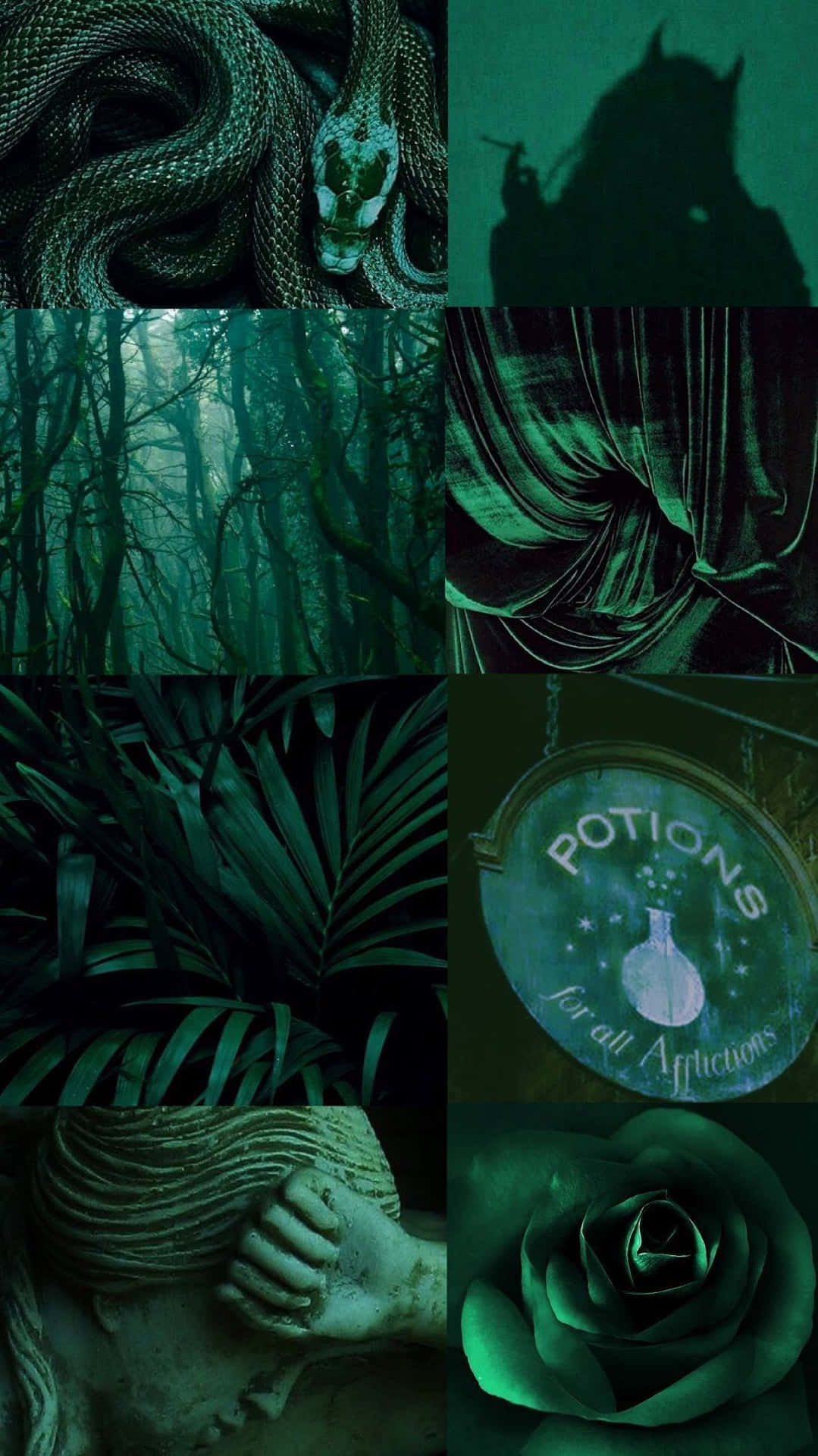 Download Dark Green iPhone Aesthetic
