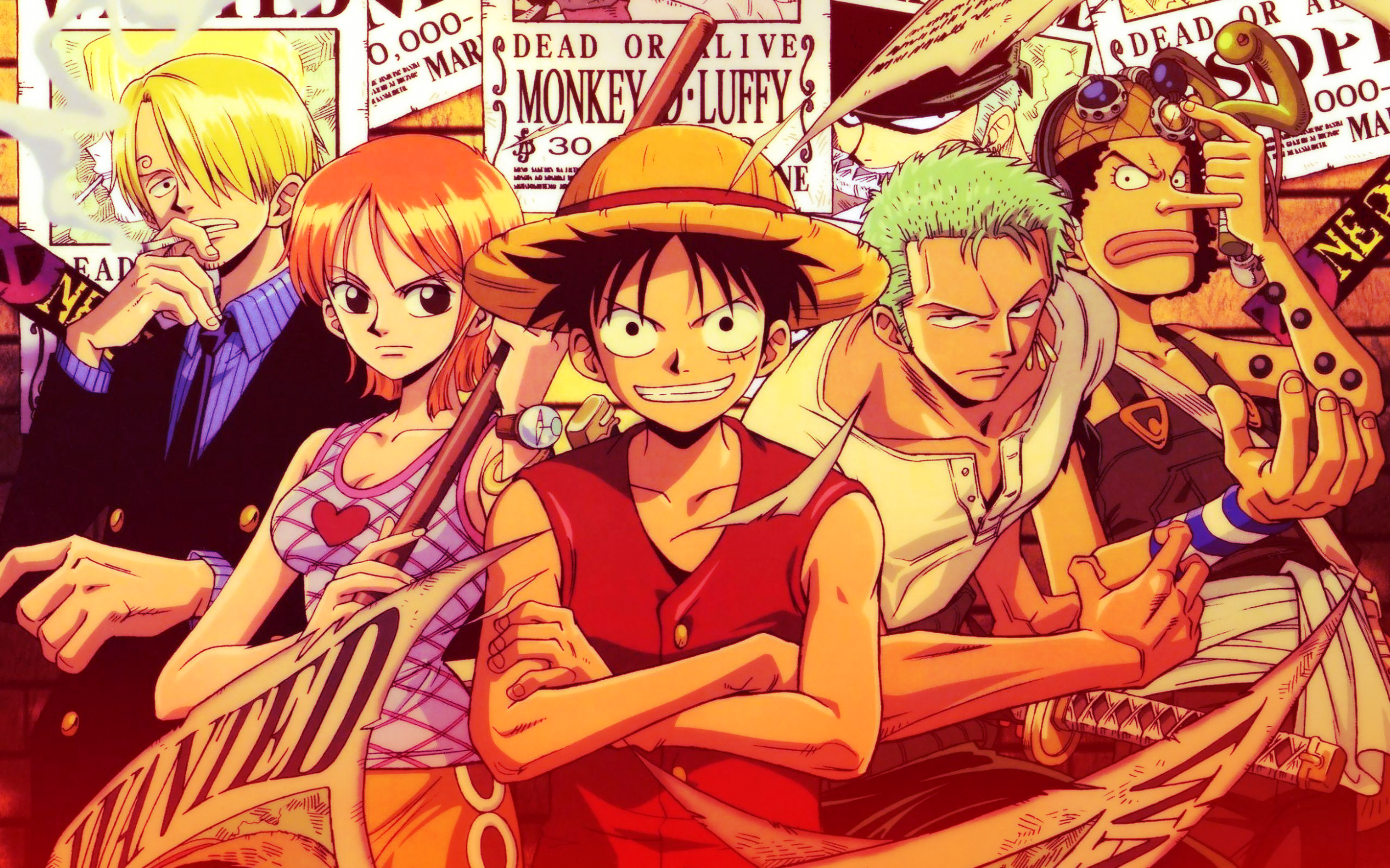 One Piece Monkey D Luffy Nami Roronoa