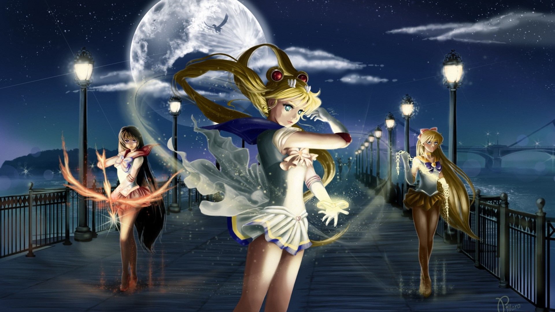 Sailor Moon Night Bridge