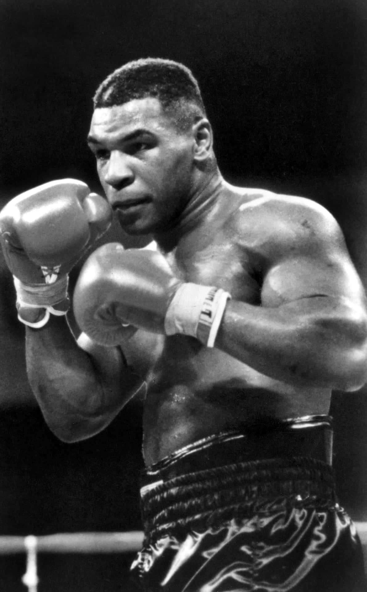Download Legendary Boxer Mike Tyson