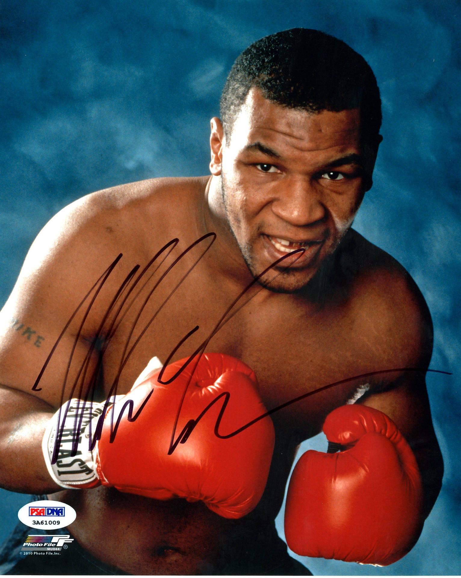 Download Signed Mike Tyson 4K Wallpaper