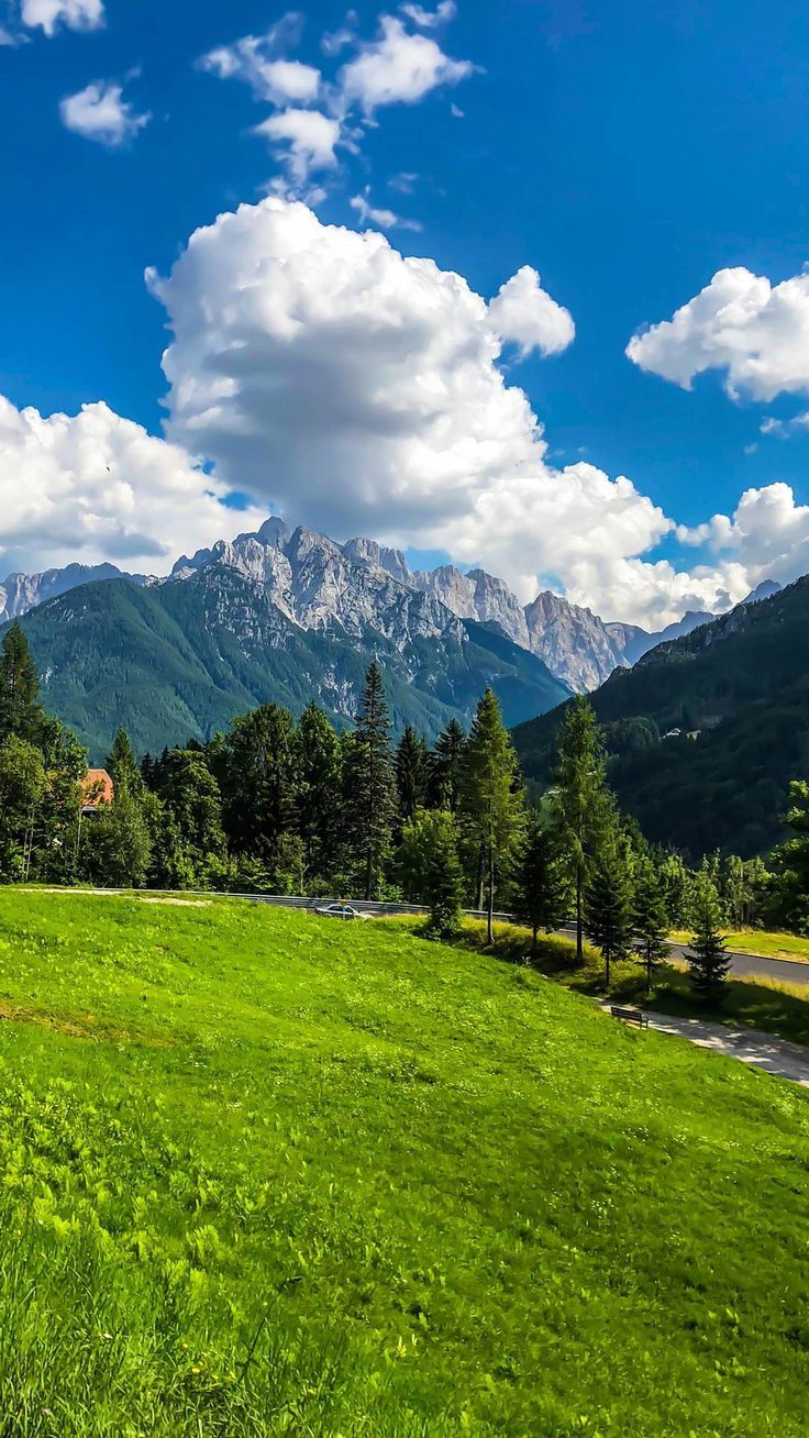 Summer iPhone wallpaper homescreen background HD nature lock screen 4k phone wallpaper image