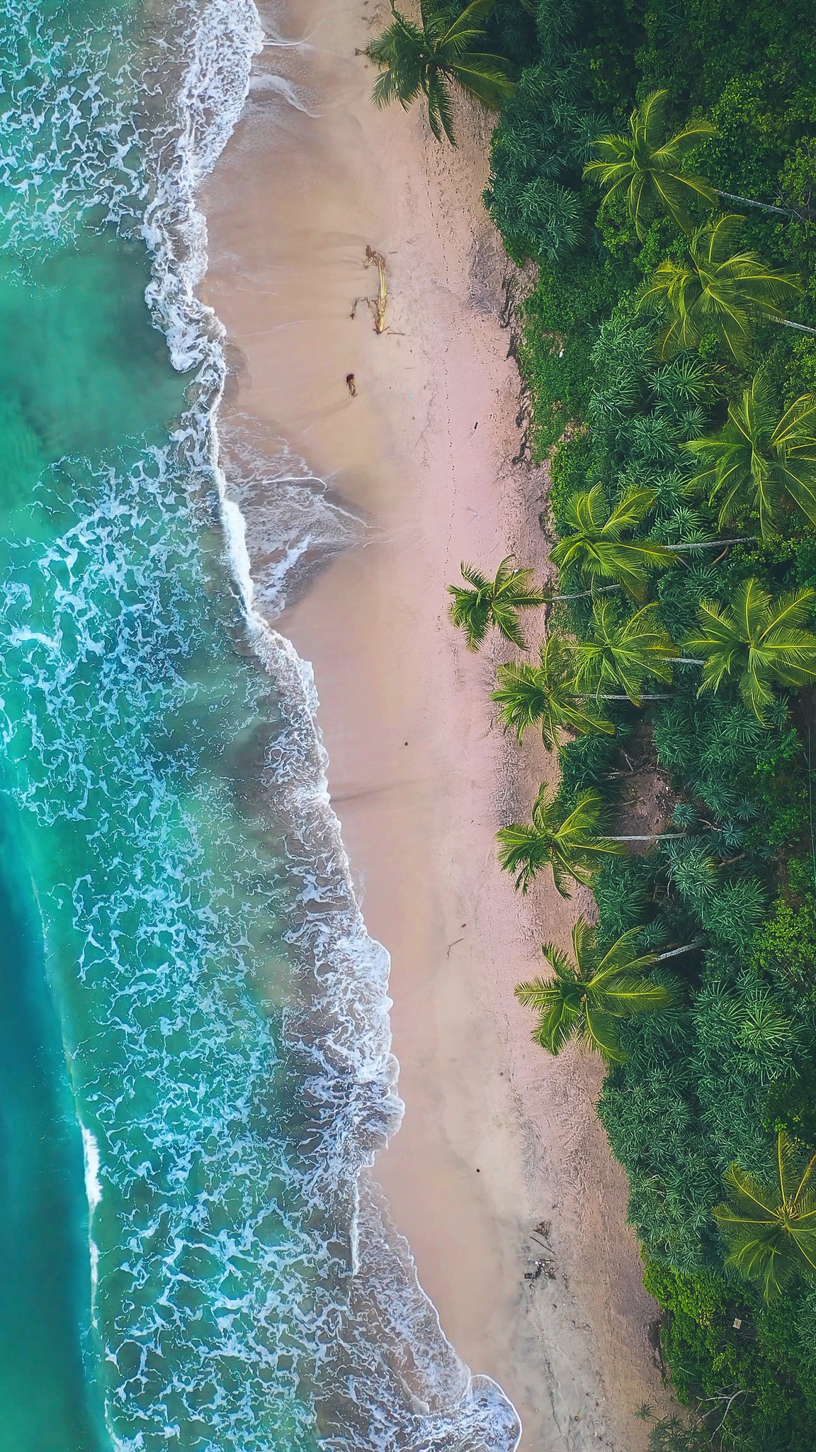 smartphone #Beach #Sea #Ocean #Forest