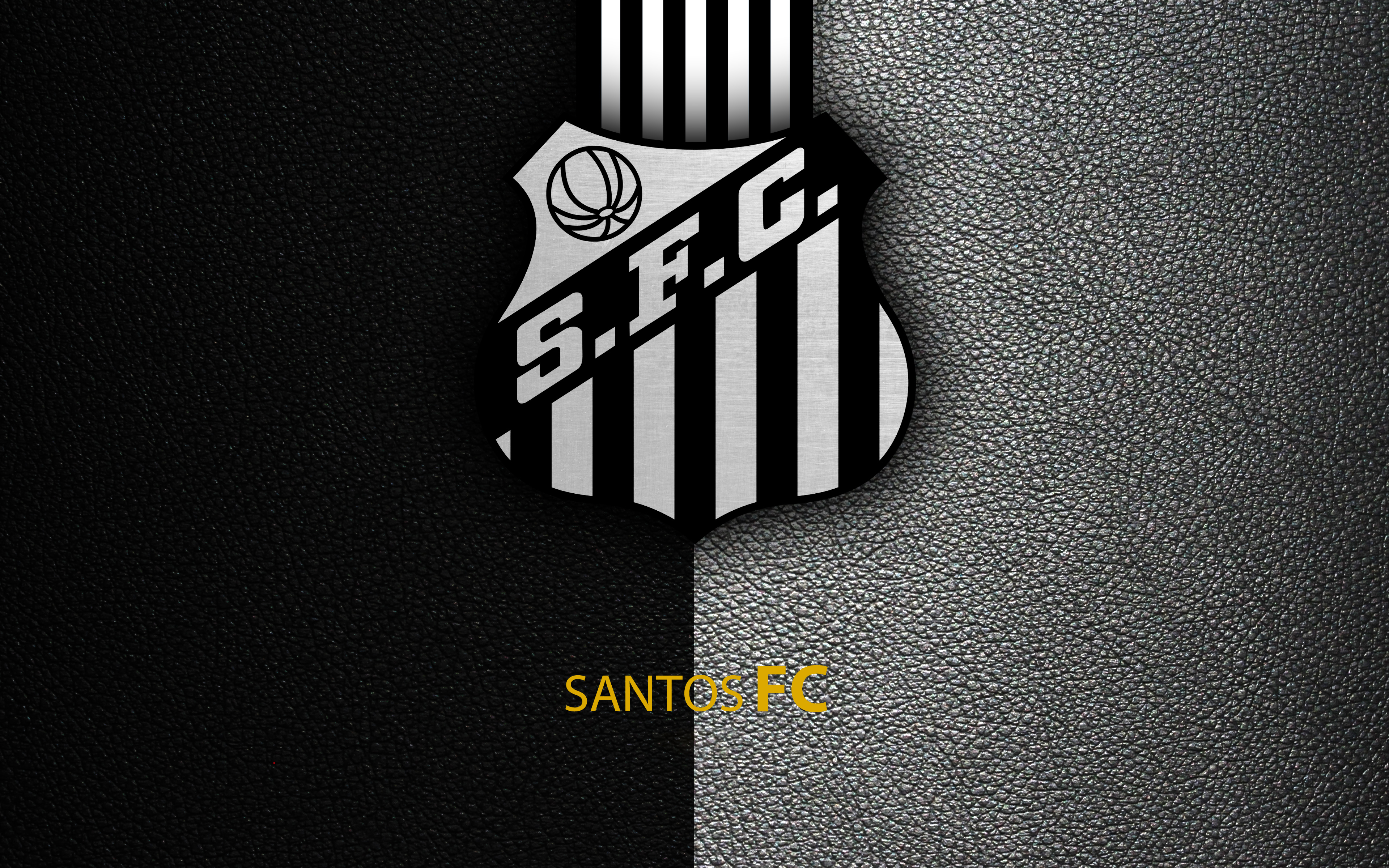 Emblem Logo Soccer Santos FC Sports